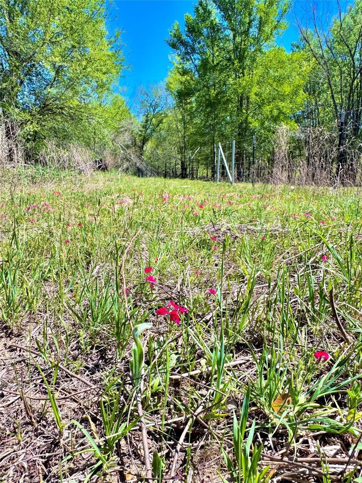 3775 Baker Rd, Kingsbury, TX 78638