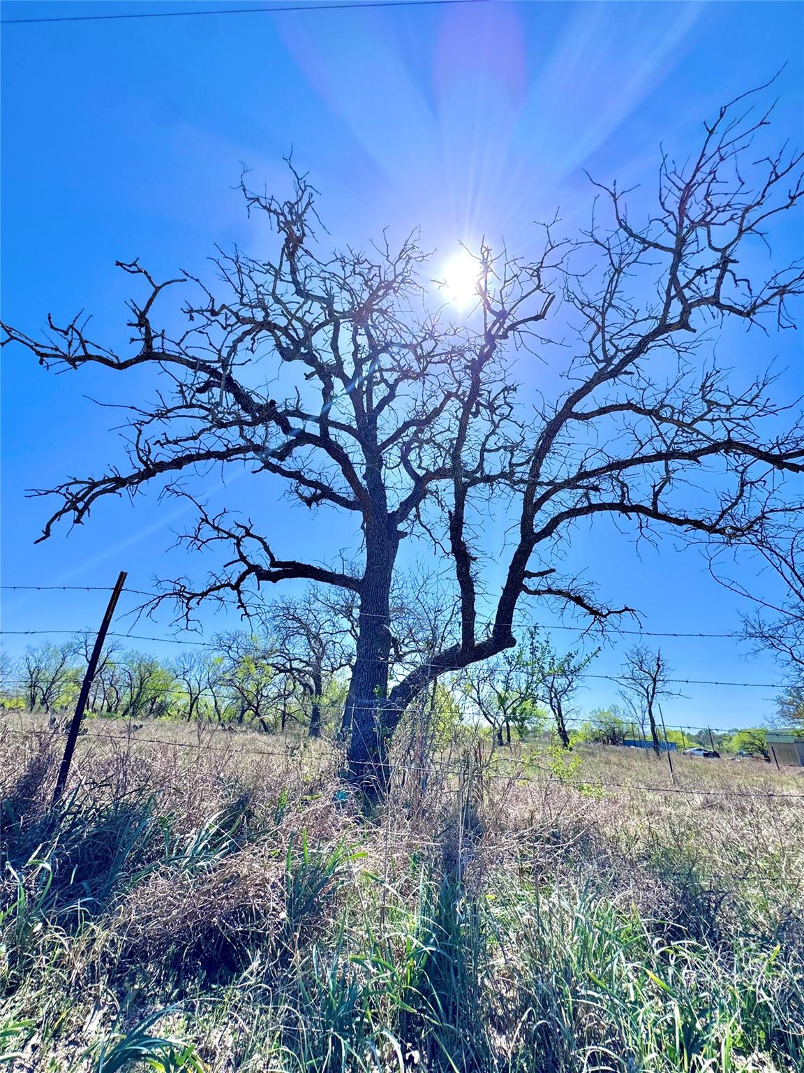 3775 Baker Rd, Kingsbury, TX 78638