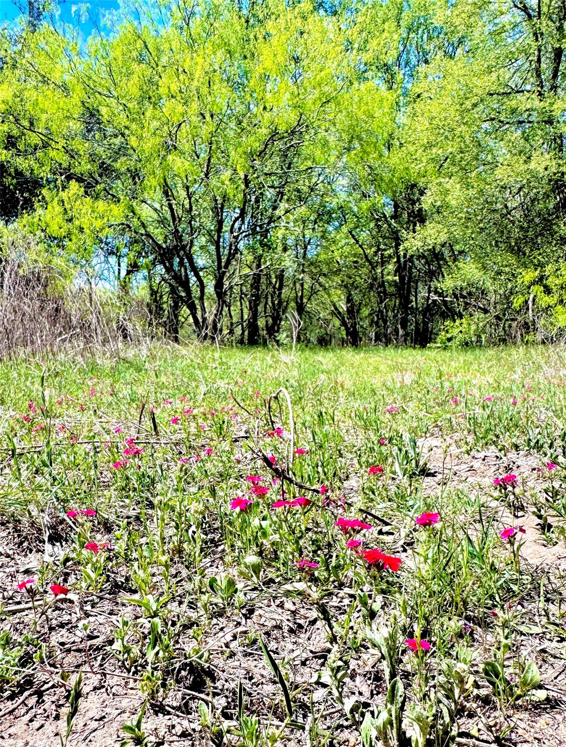 3775 Baker Rd, Kingsbury, TX 78638