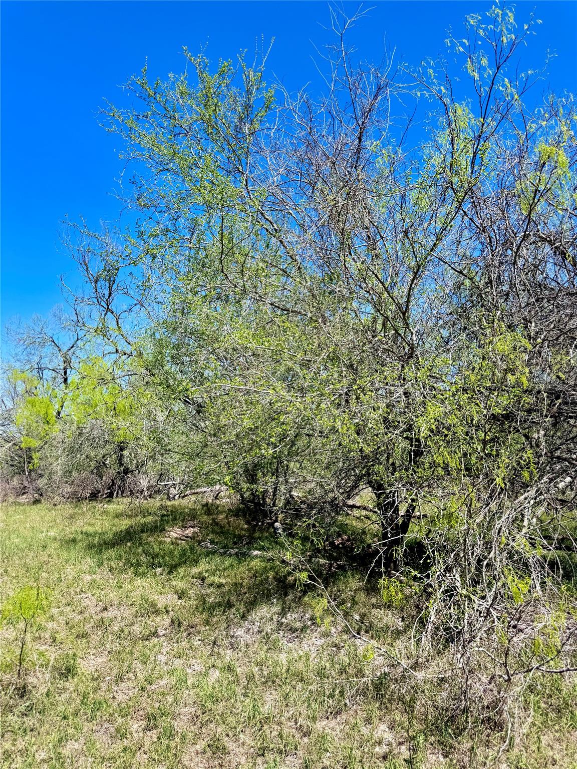 3775 Baker Rd, Kingsbury, TX 78638