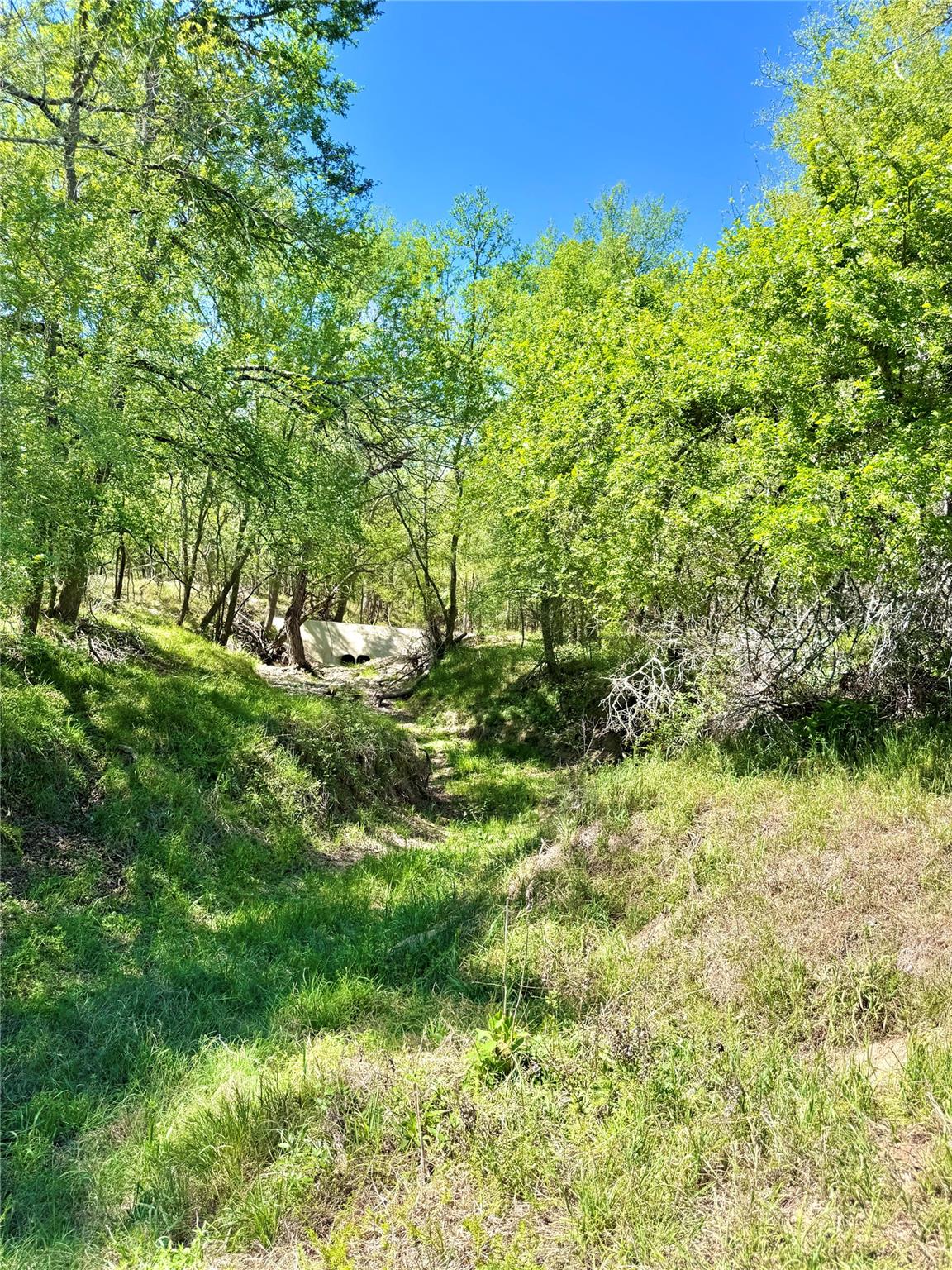 3775 Baker Rd, Kingsbury, TX 78638