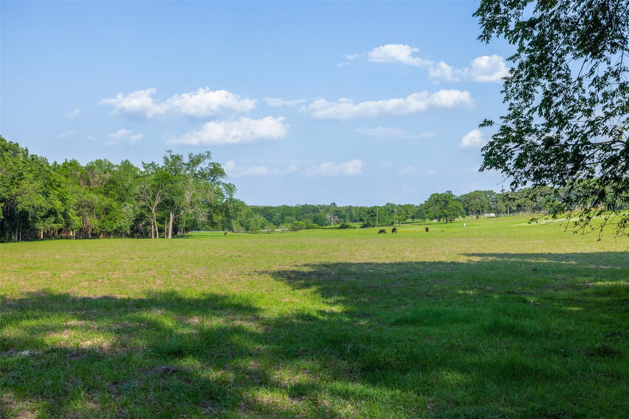3004 County Road 310, Caldwell, TX 77836