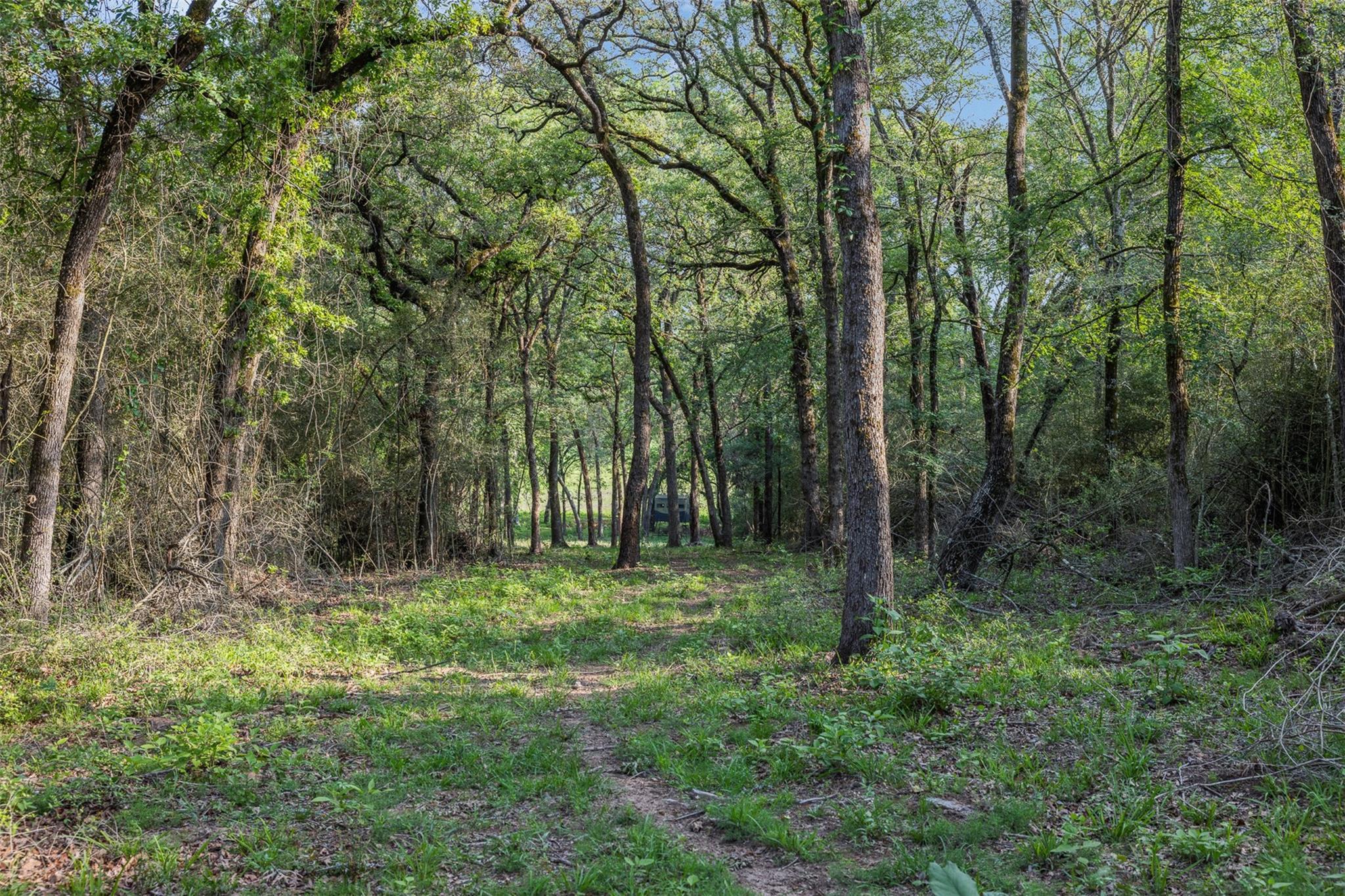 3004 County Road 310, Caldwell, TX 77836