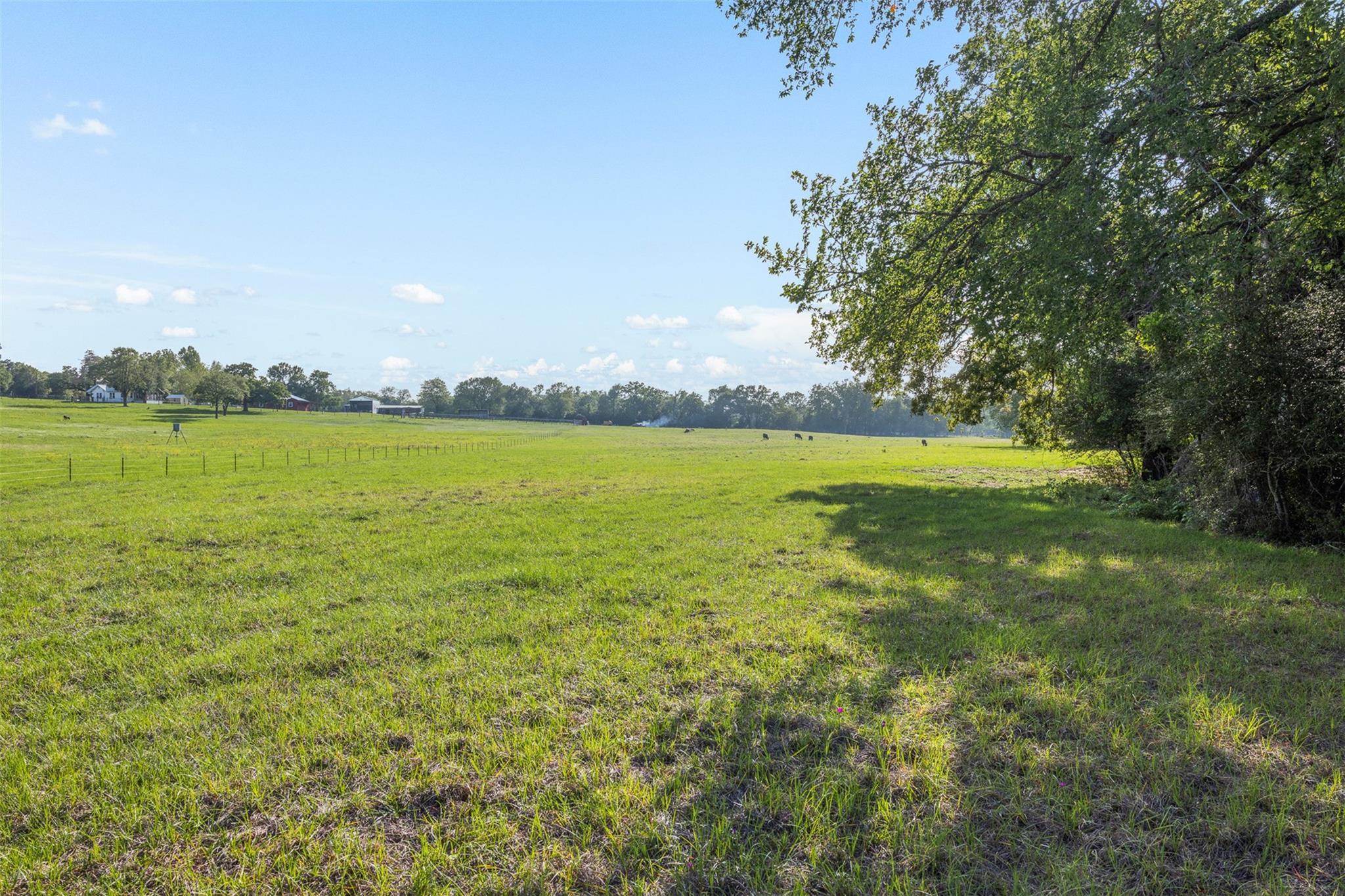3004 County Road 310, Caldwell, TX 77836