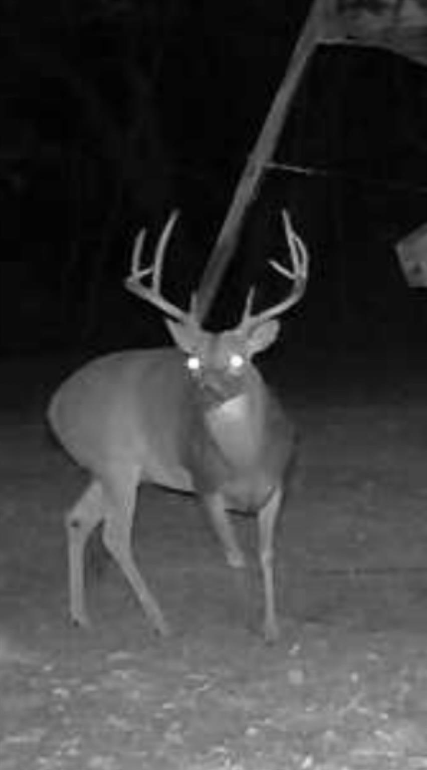3004 County Road 310, Caldwell, TX 77836