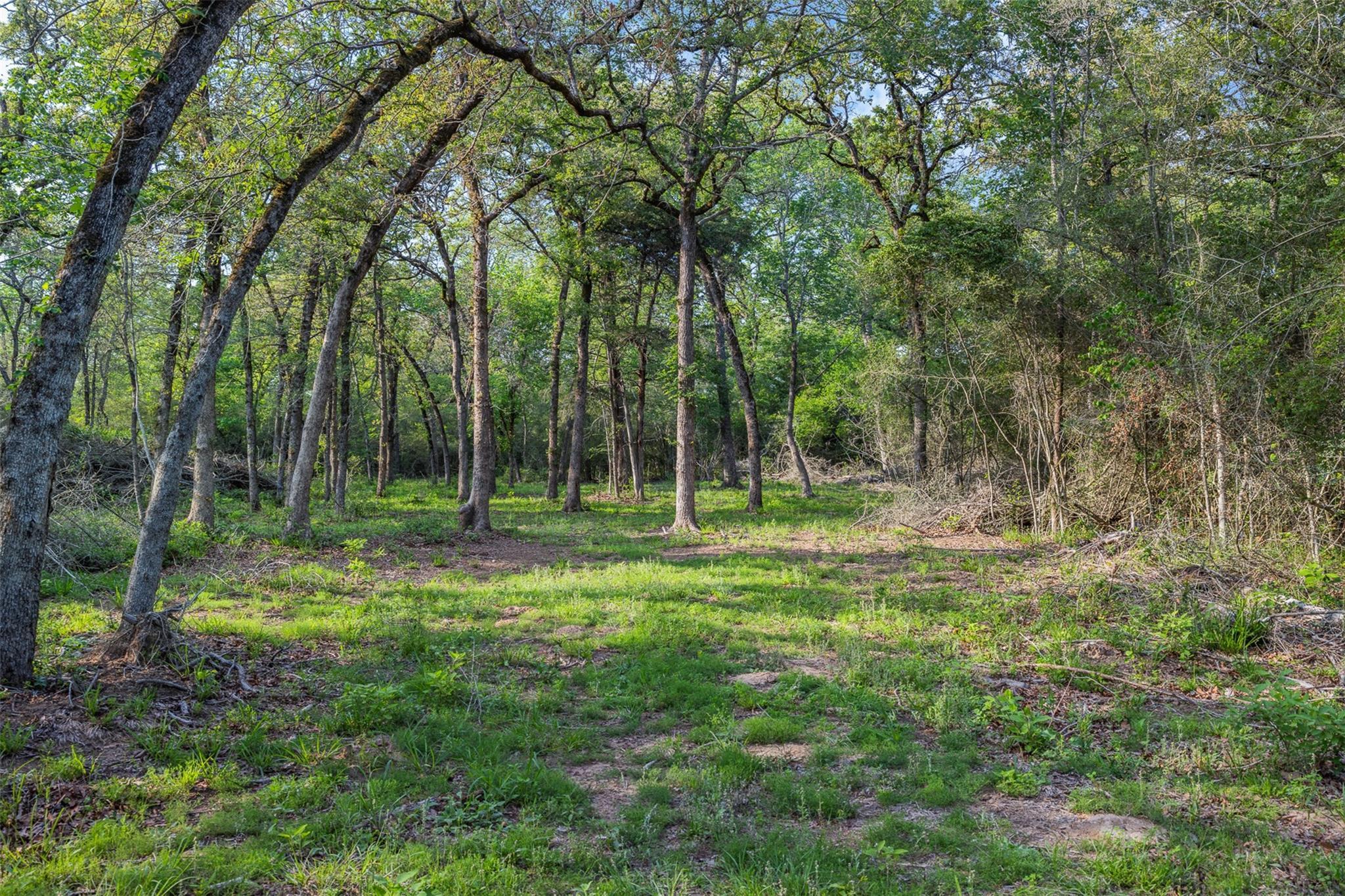 3004 County Road 310, Caldwell, TX 77836