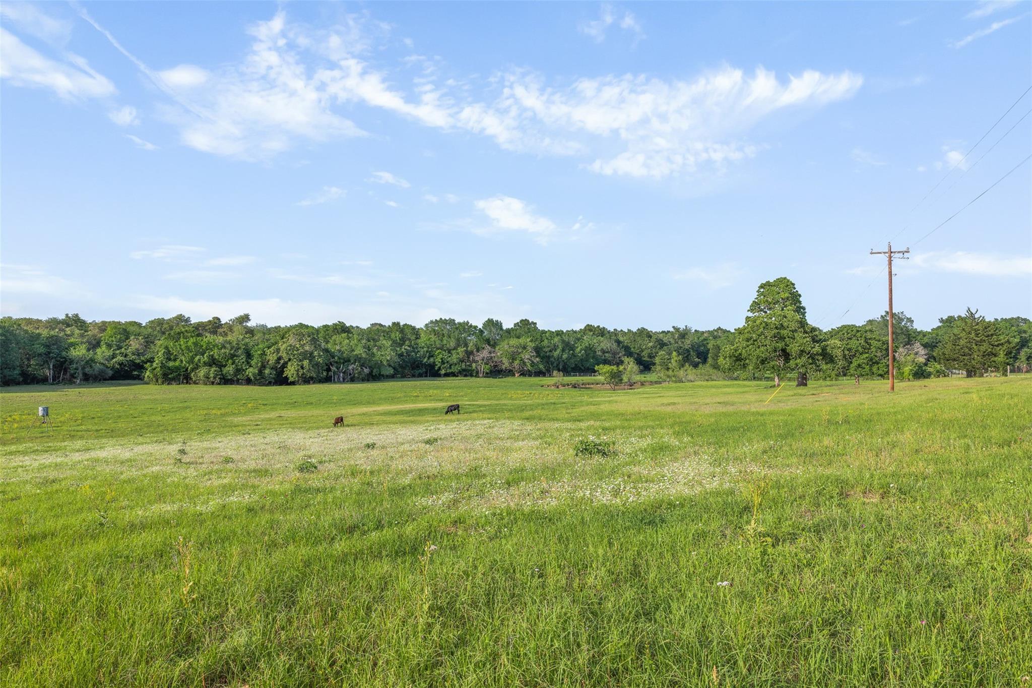 3004 County Road 310, Caldwell, TX 77836