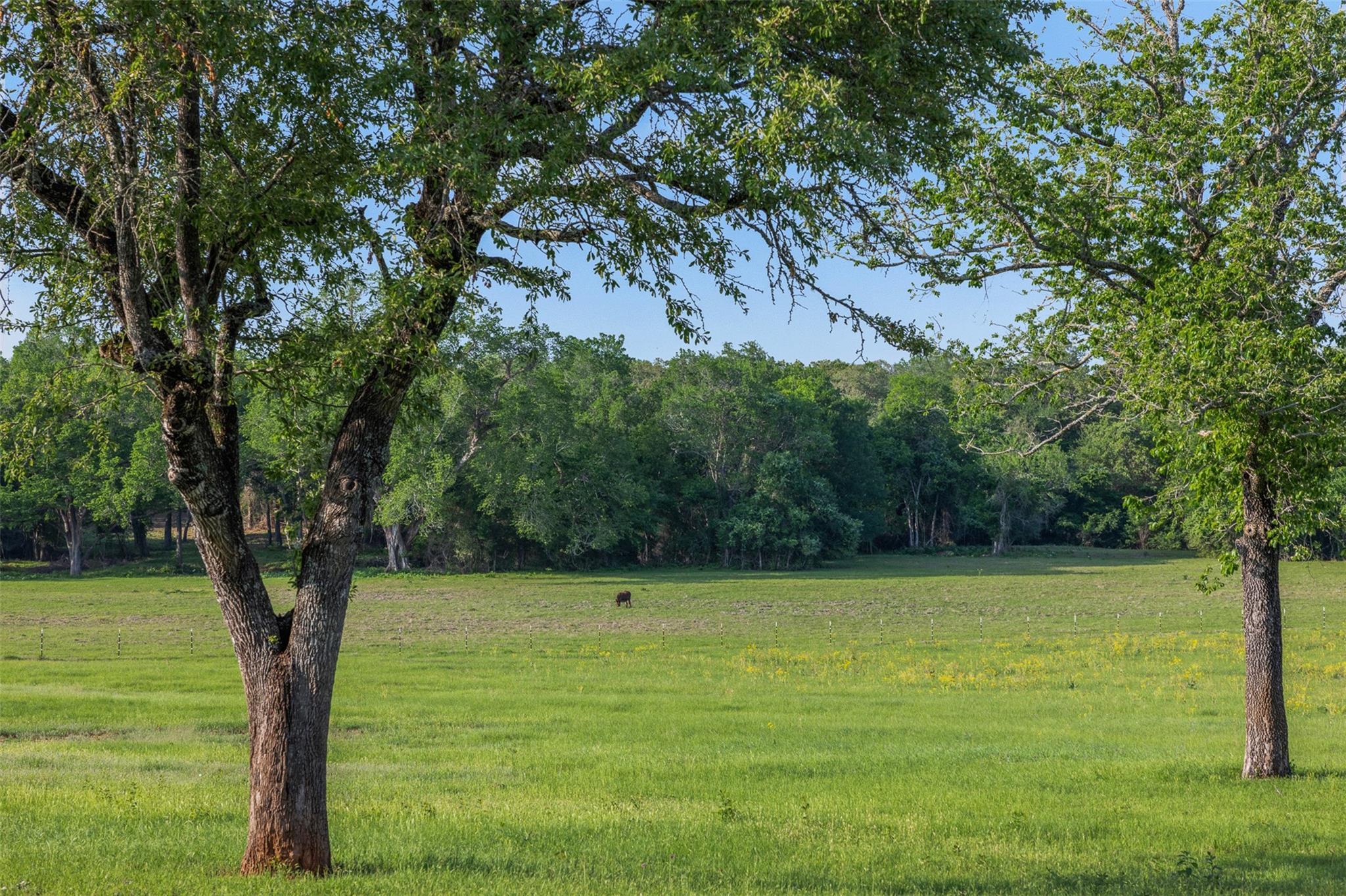 3004 County Road 310, Caldwell, TX 77836