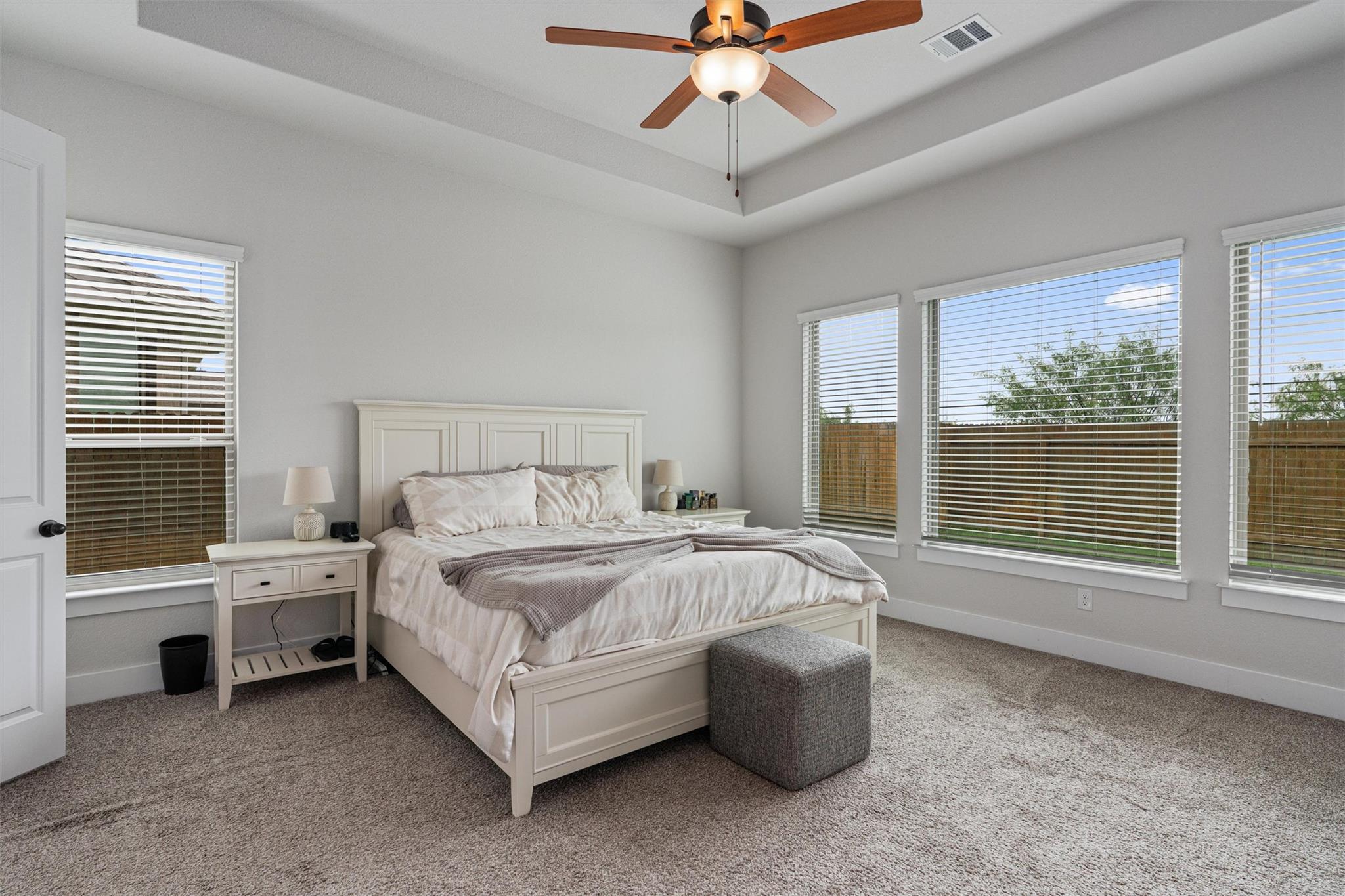 312 Rieti Pkwy, Liberty Hill, TX 78642