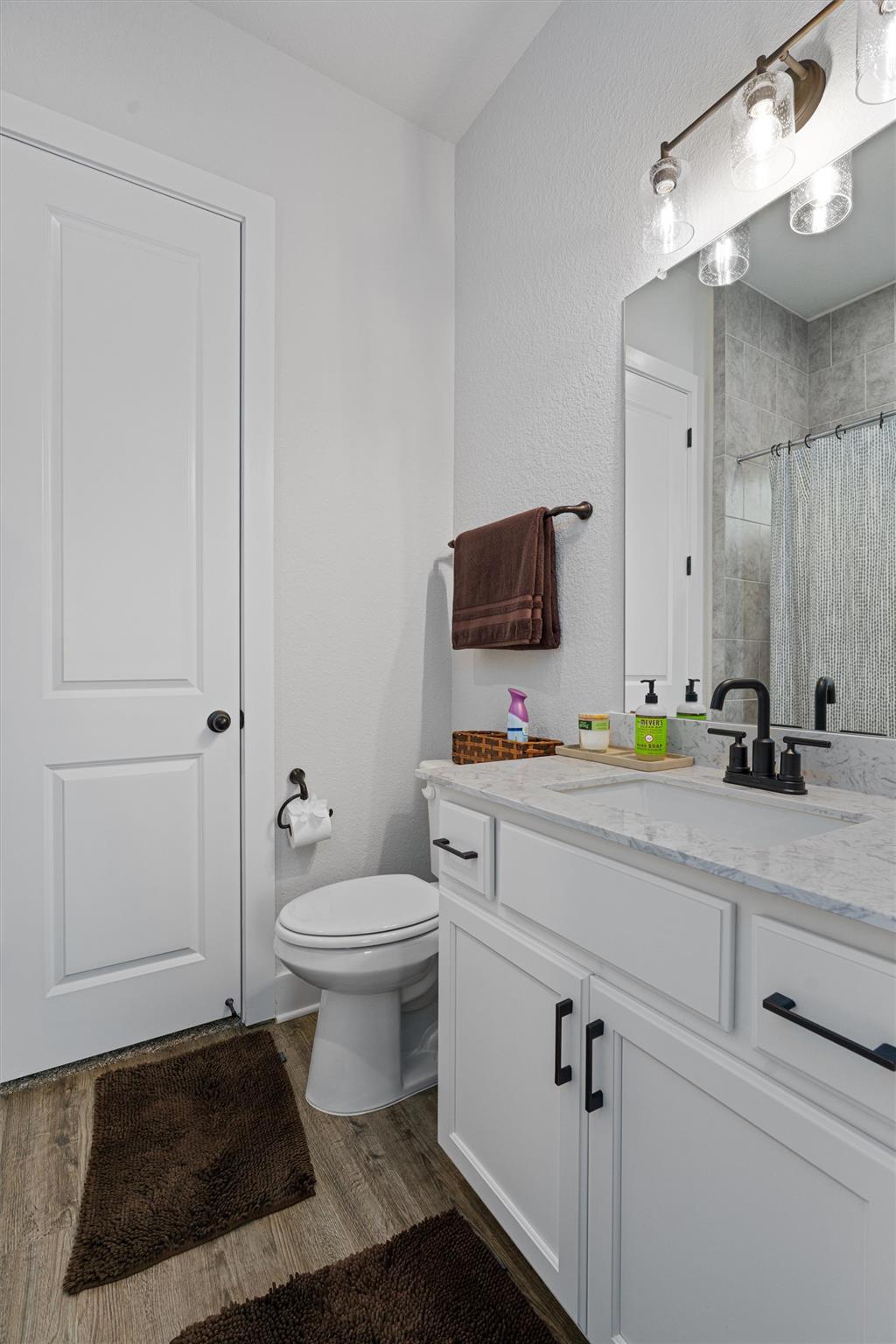 312 Rieti Pkwy, Liberty Hill, TX 78642