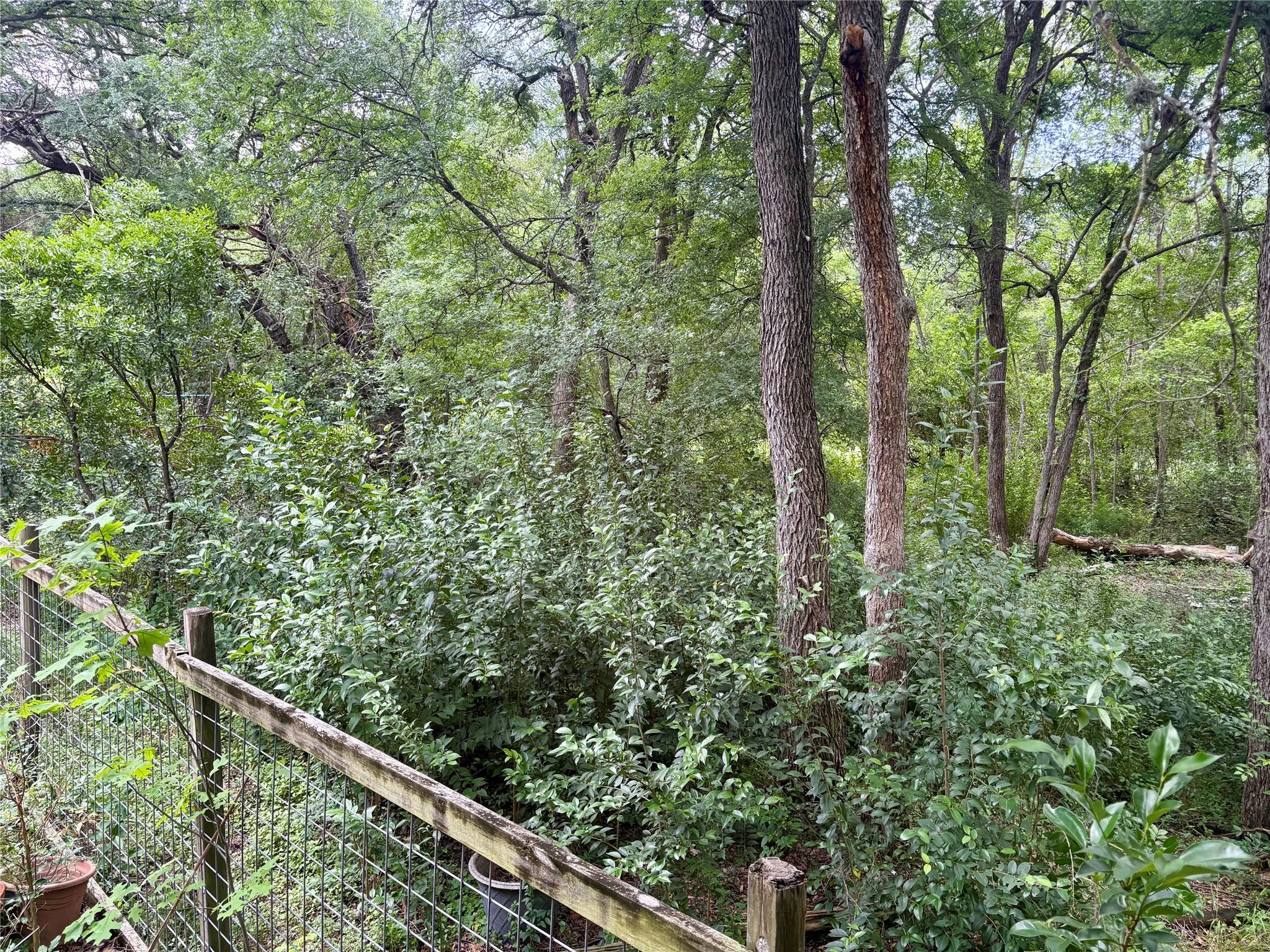 4600 Rivka Cv, Austin, TX 78741