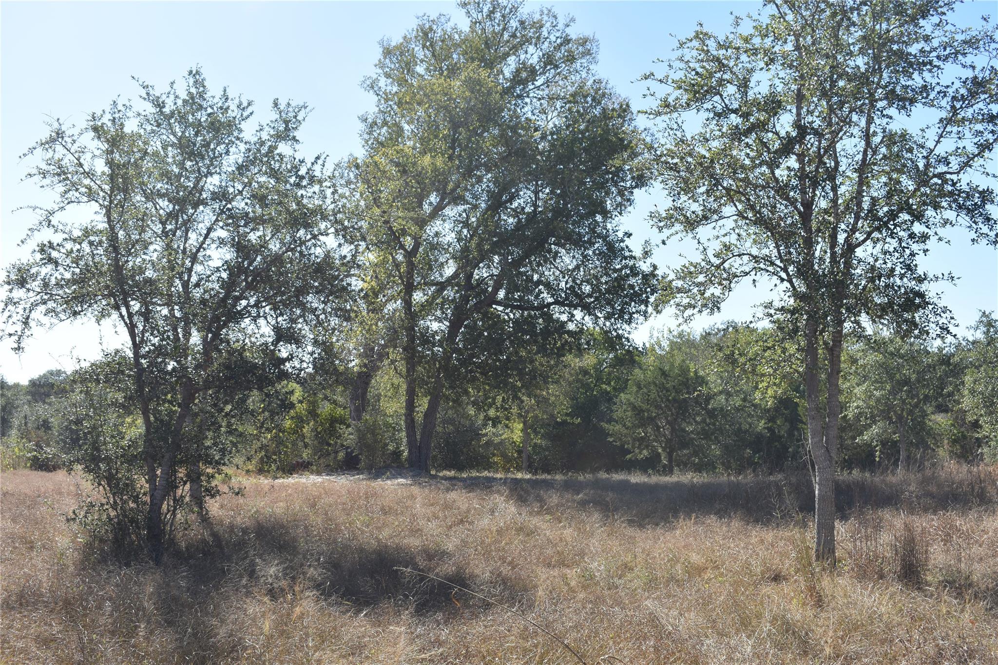 TBD Cr 481, Gonzales, TX 78629