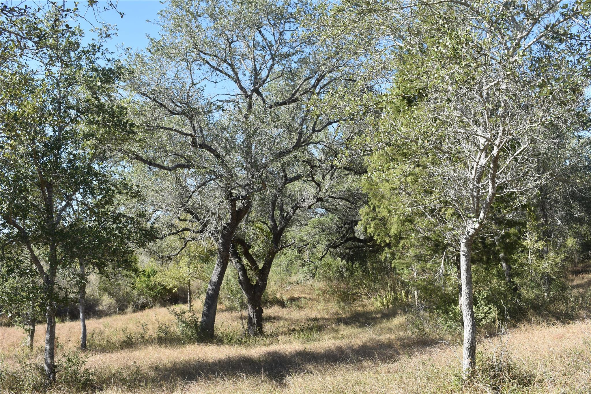 TBD Cr 481, Gonzales, TX 78629