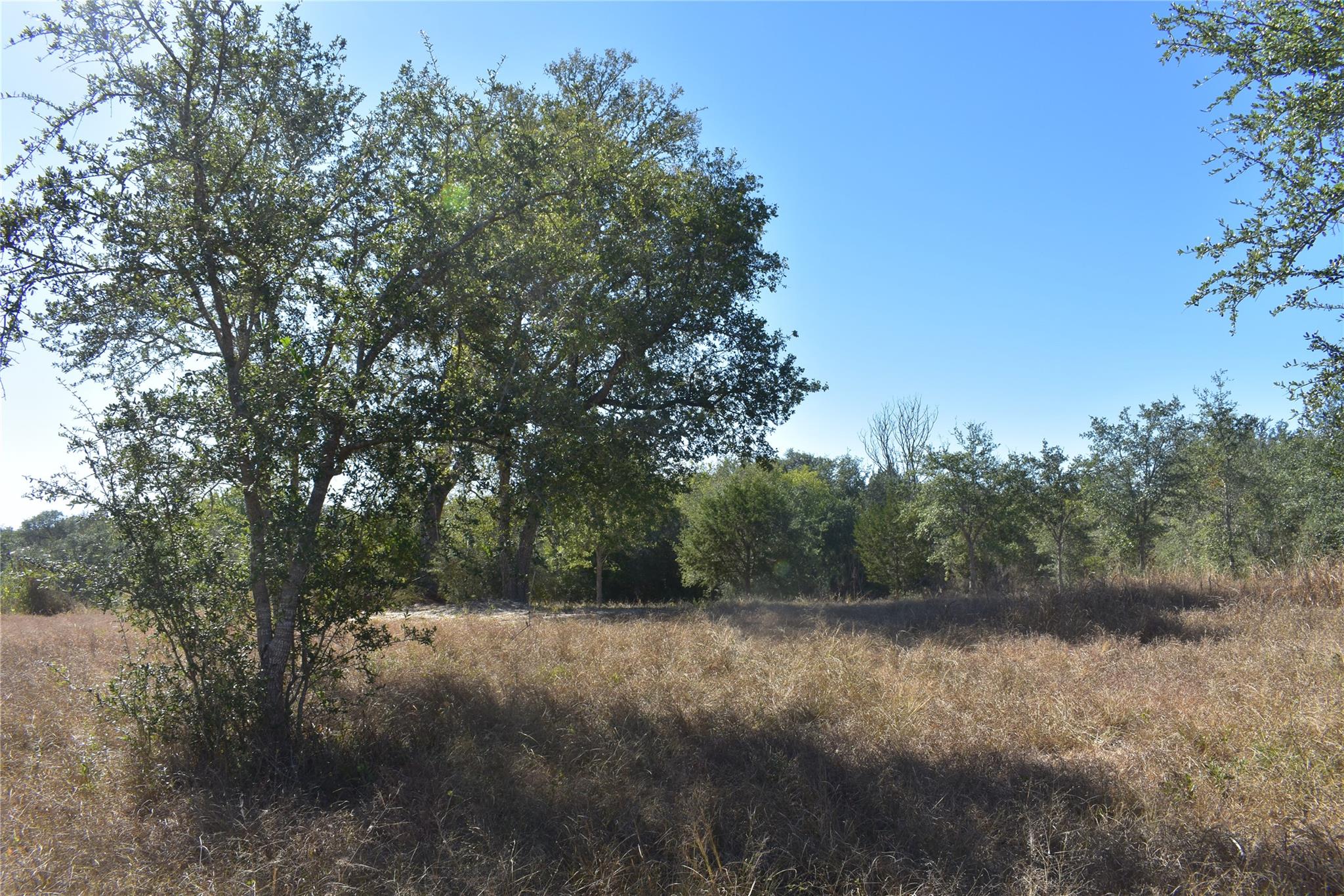 TBD Cr 481, Gonzales, TX 78629