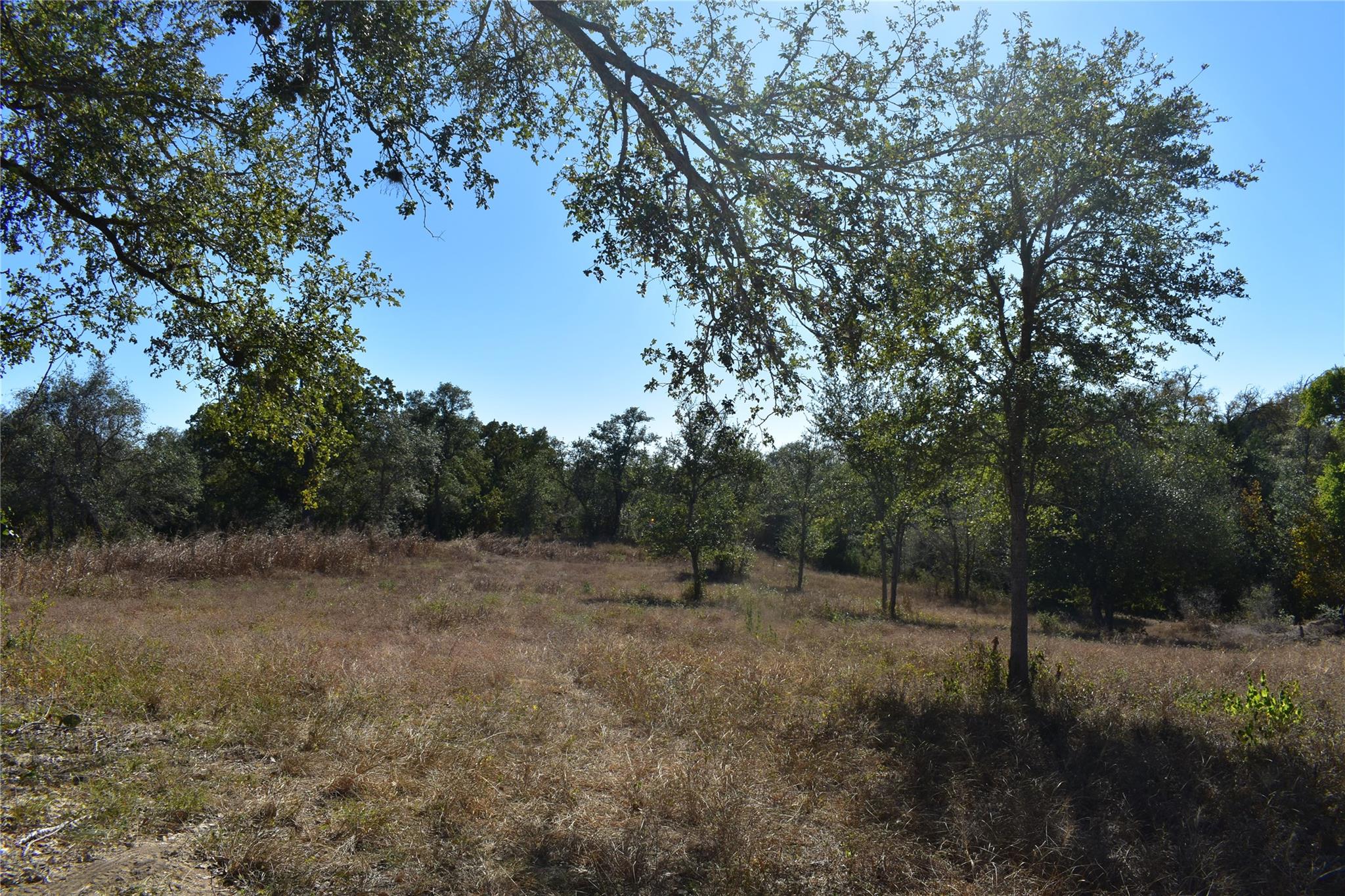 TBD Cr 481, Gonzales, TX 78629