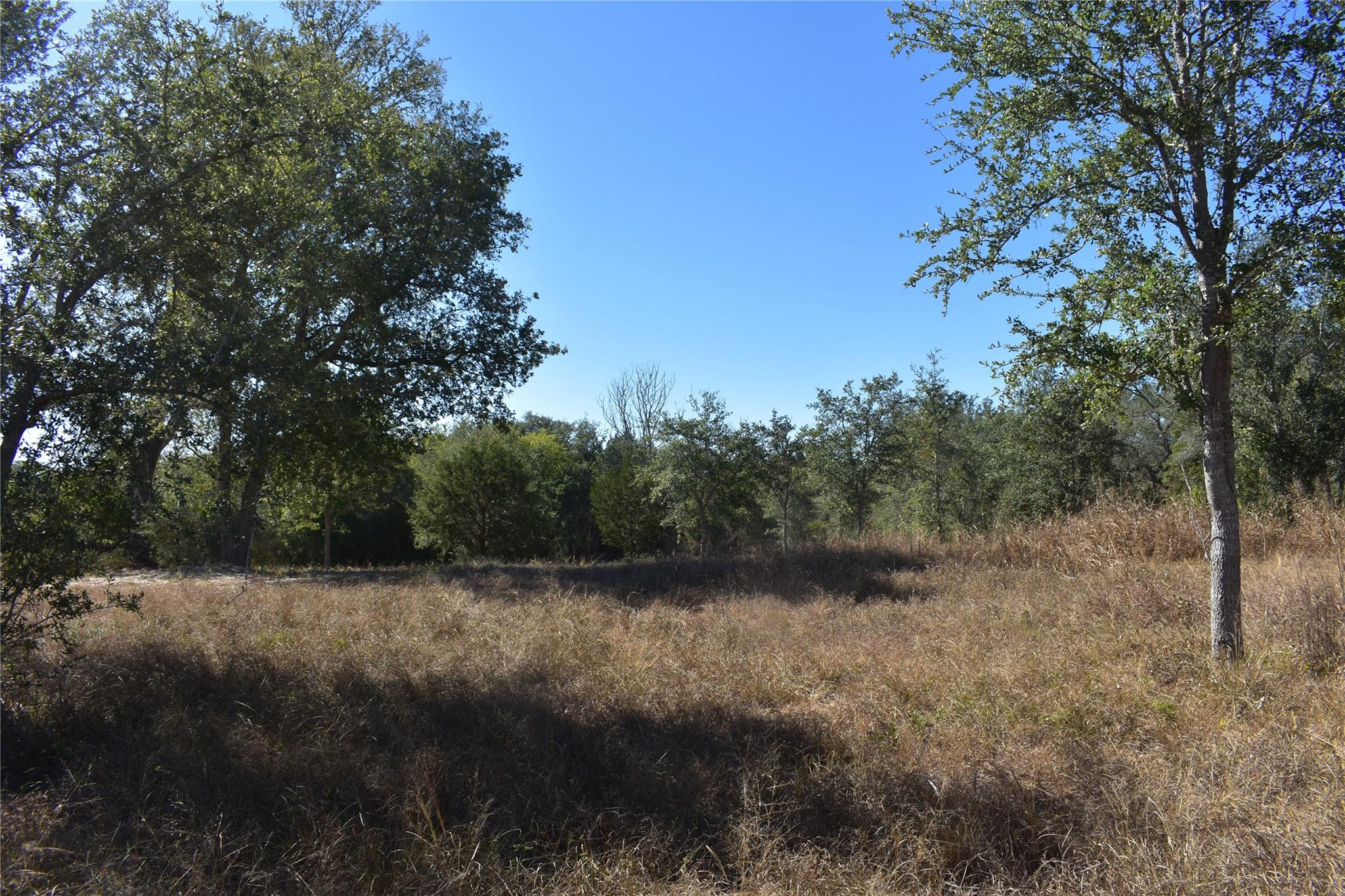 TBD Cr 481, Gonzales, TX 78629
