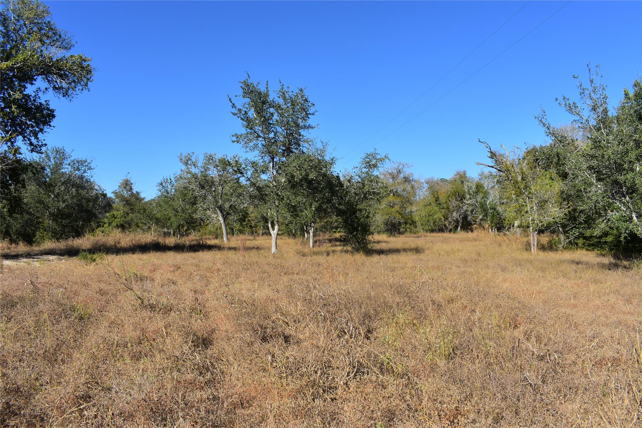 TBD Cr 481, Gonzales, TX 78629