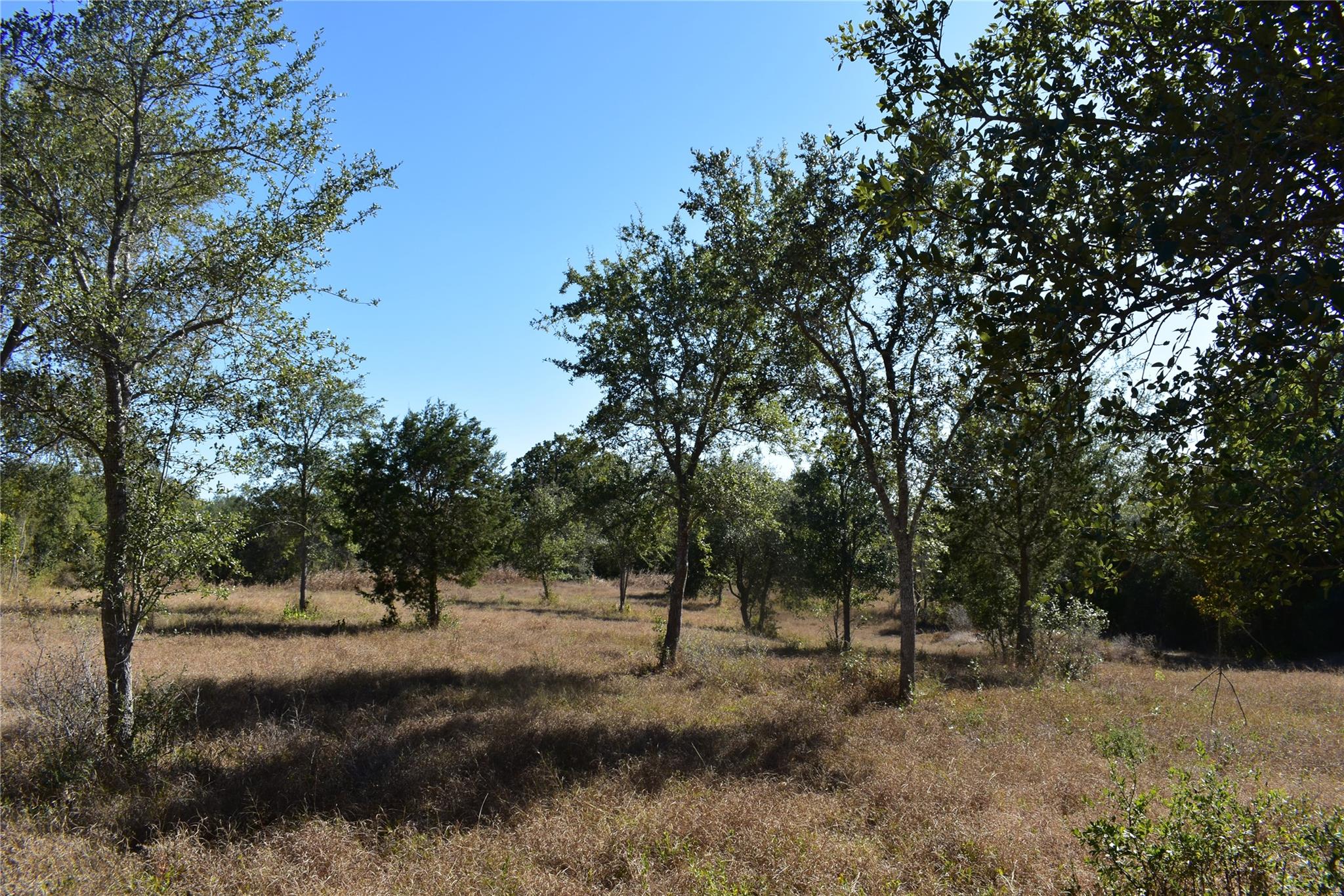 TBD Cr 481, Gonzales, TX 78629