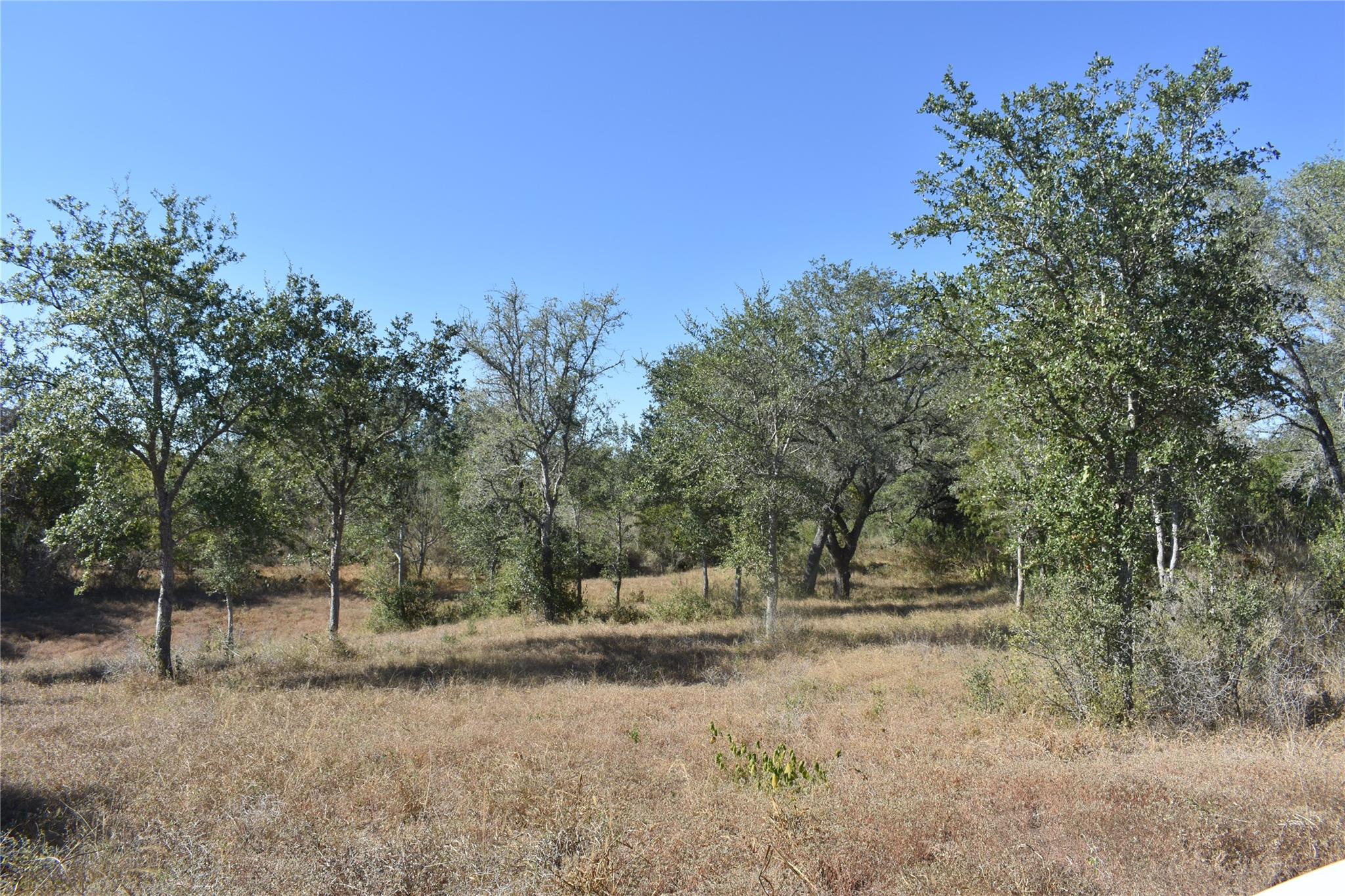 TBD Cr 481, Gonzales, TX 78629