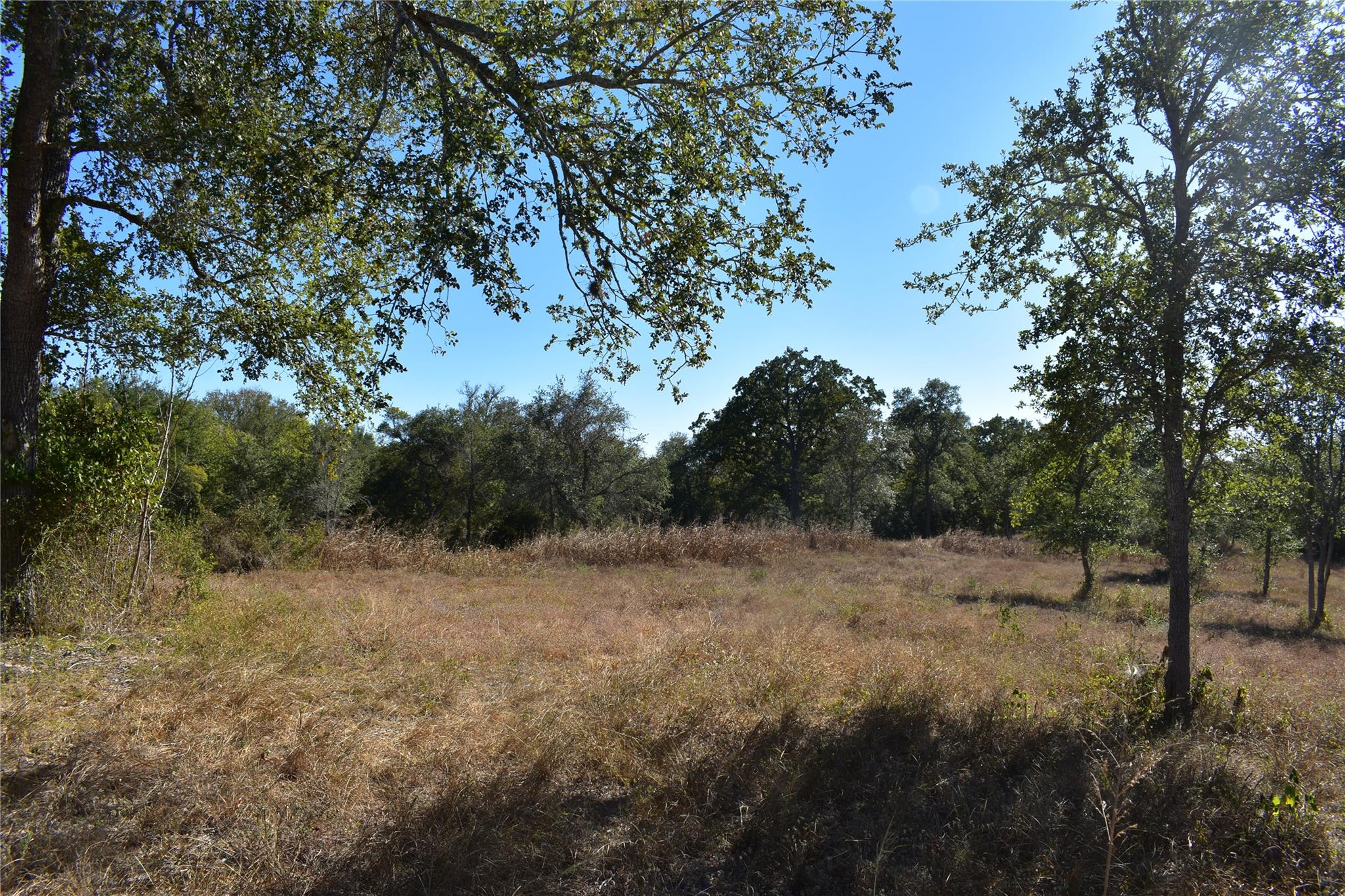 TBD Cr 481, Gonzales, TX 78629