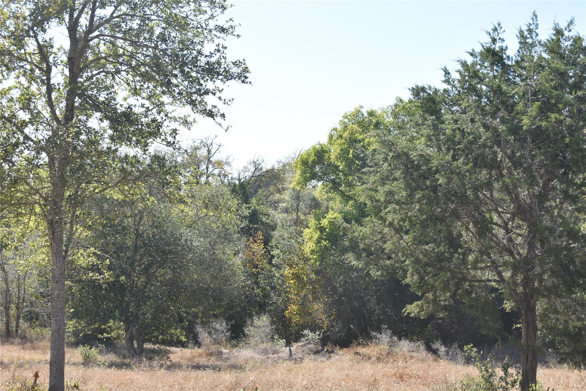 TBD Cr 481, Gonzales, TX 78629
