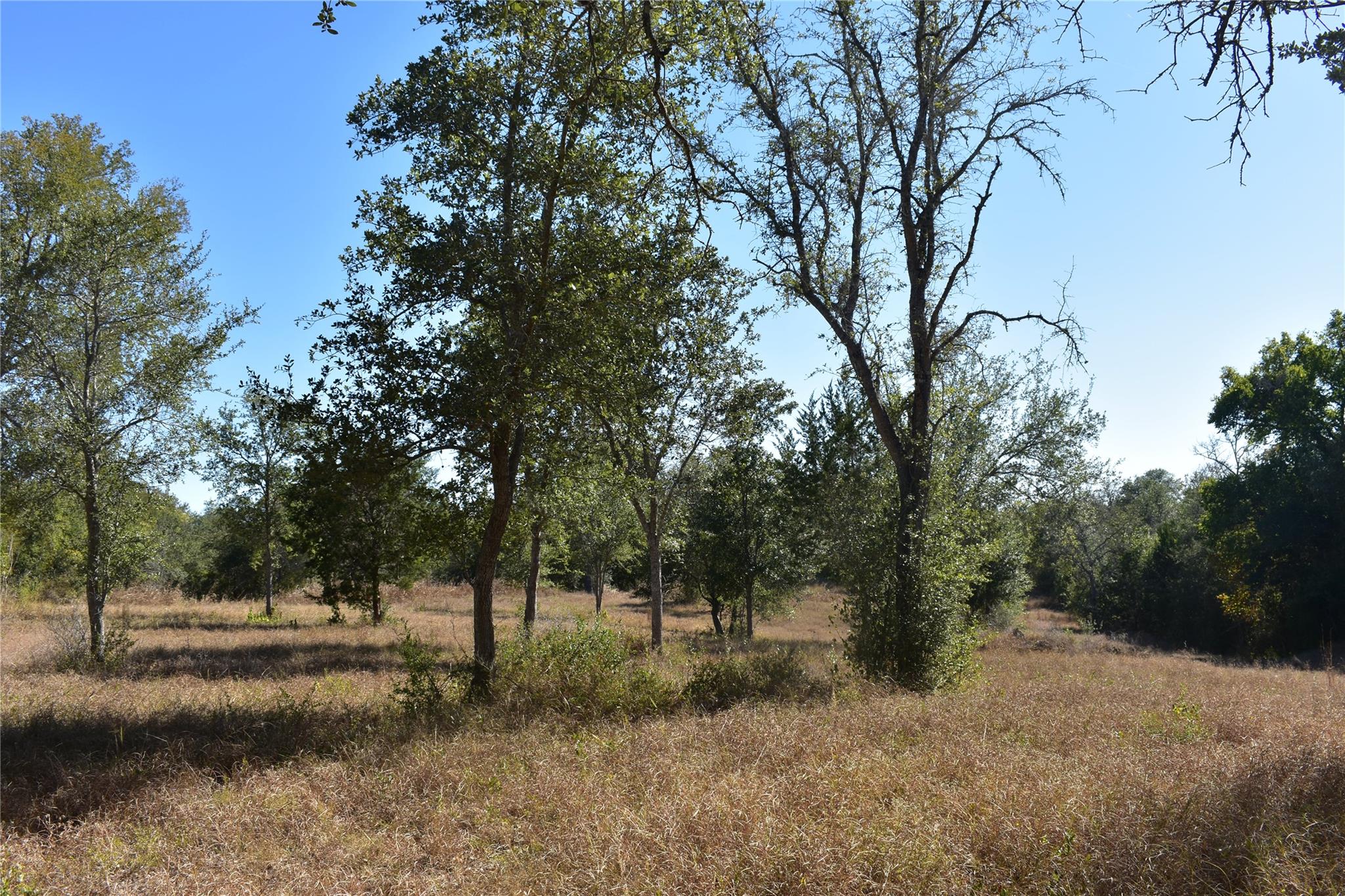 TBD Cr 481, Gonzales, TX 78629