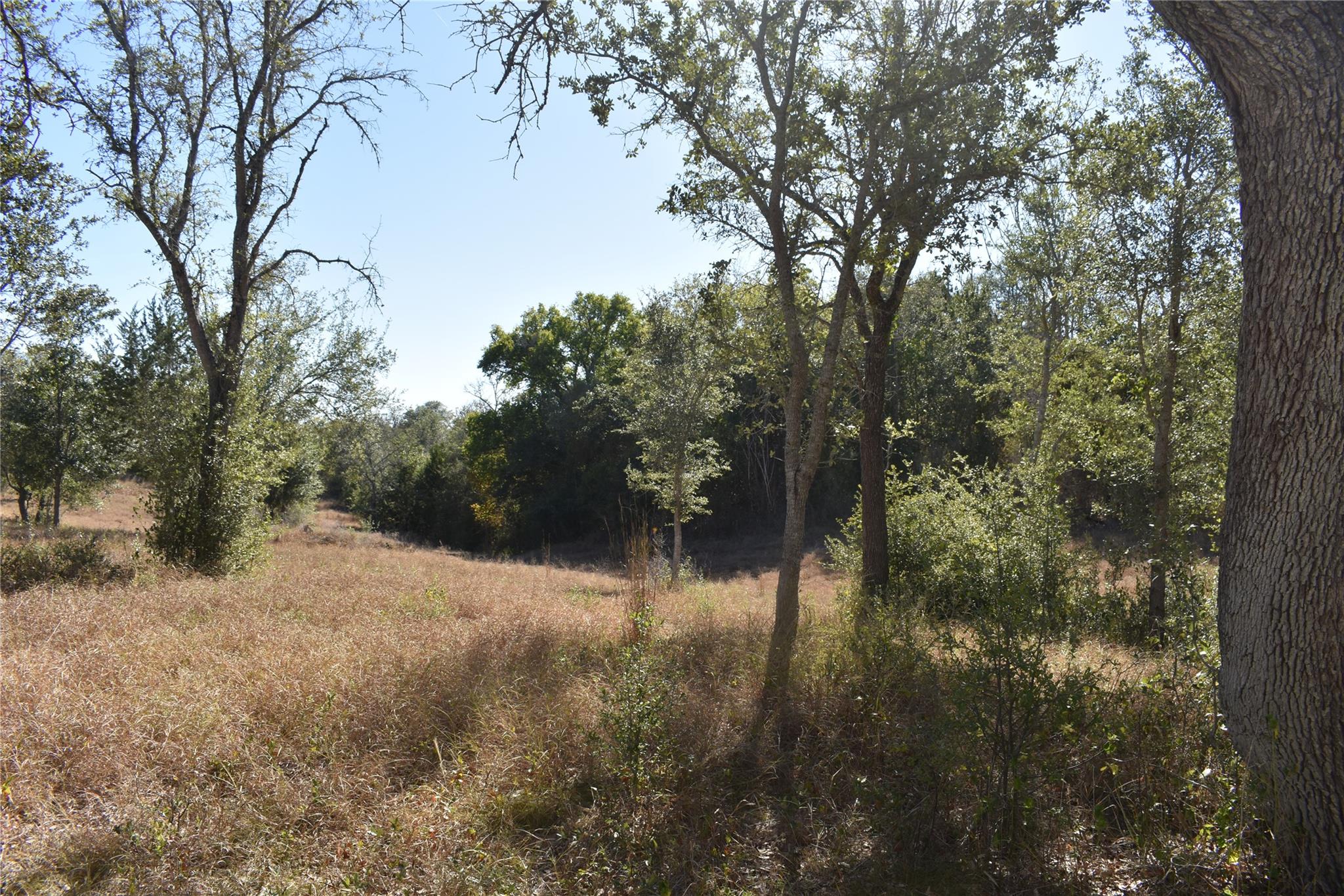 TBD Cr 481, Gonzales, TX 78629
