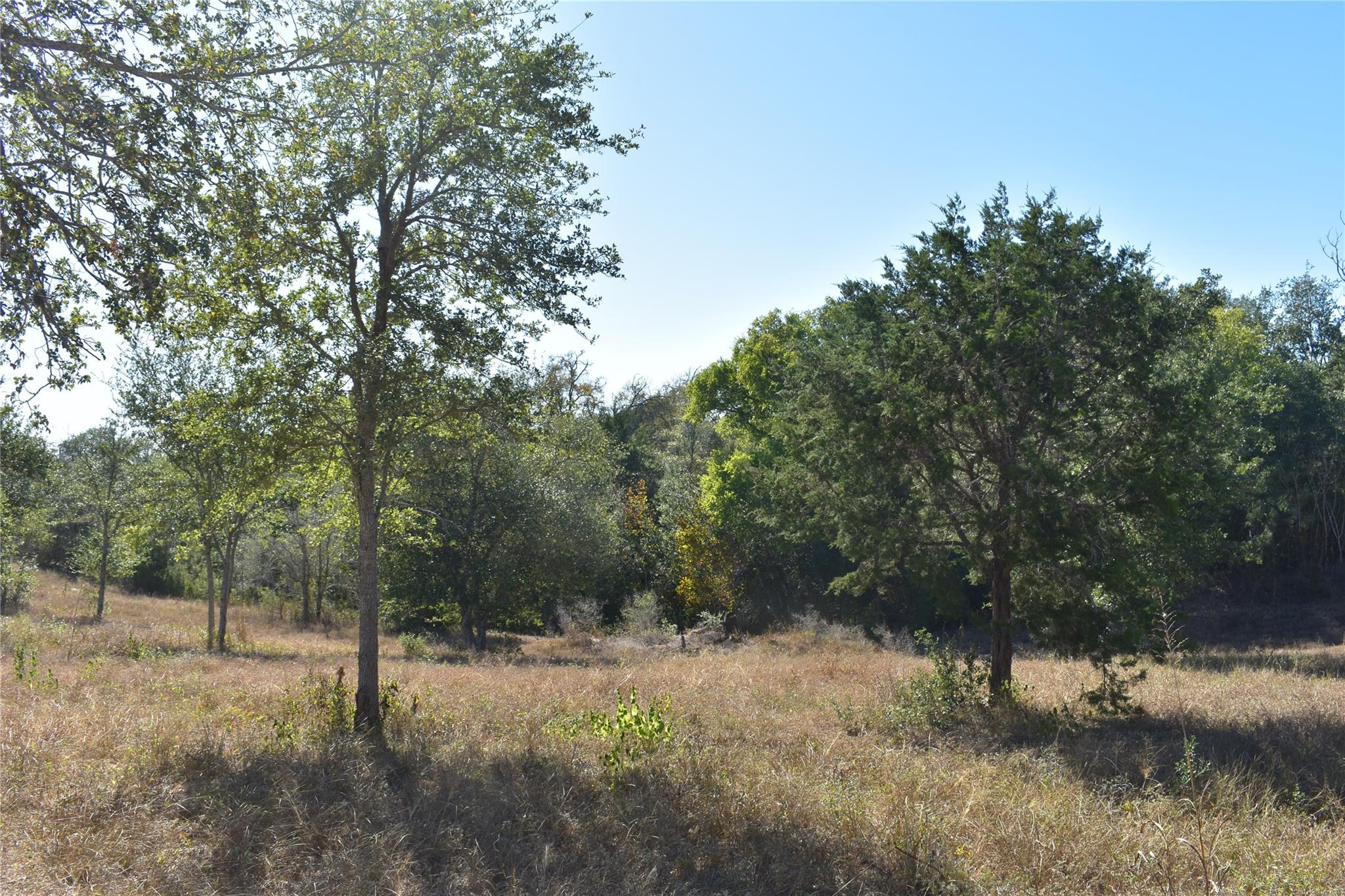TBD Cr 481, Gonzales, TX 78629