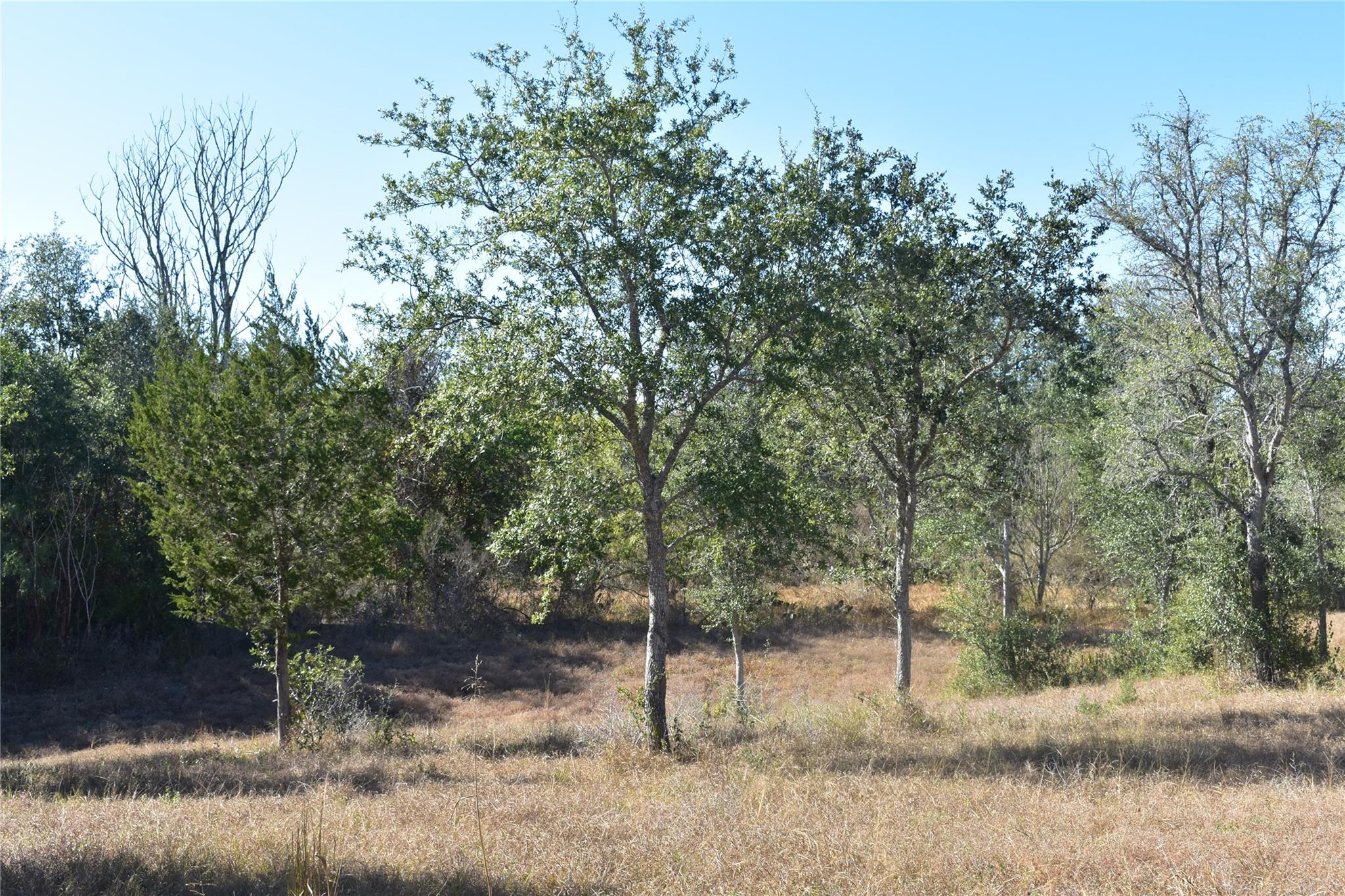 TBD Cr 481, Gonzales, TX 78629