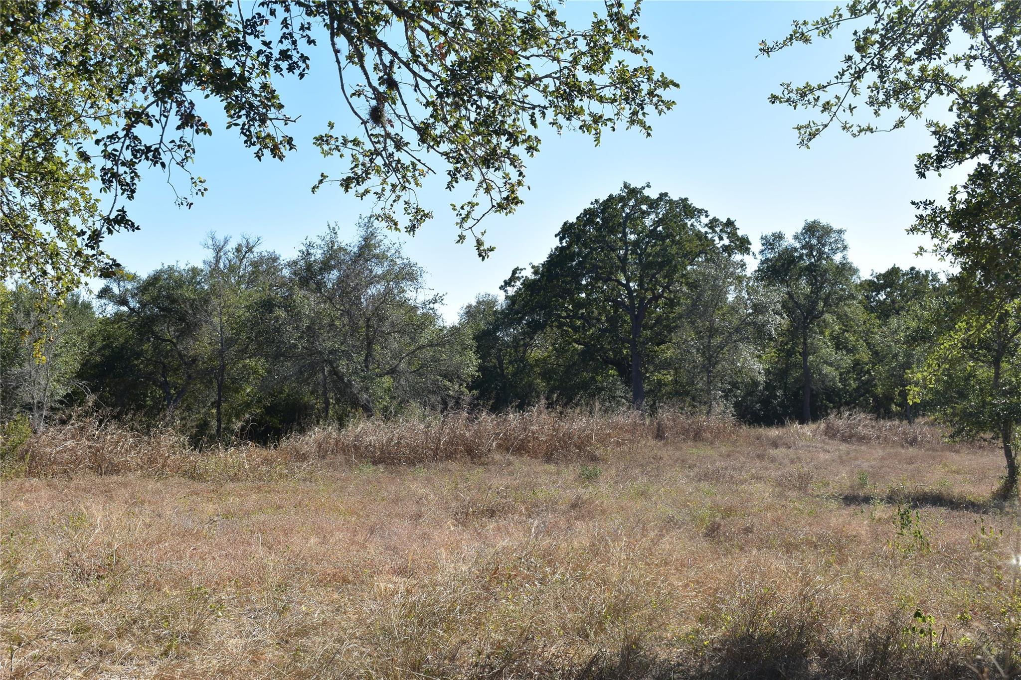 TBD Cr 481, Gonzales, TX 78629