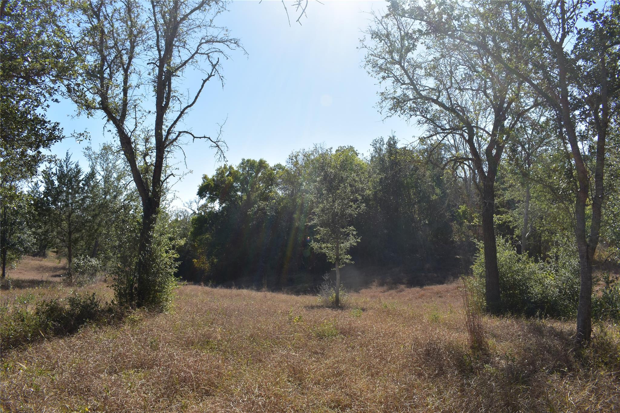 TBD Cr 481, Gonzales, TX 78629