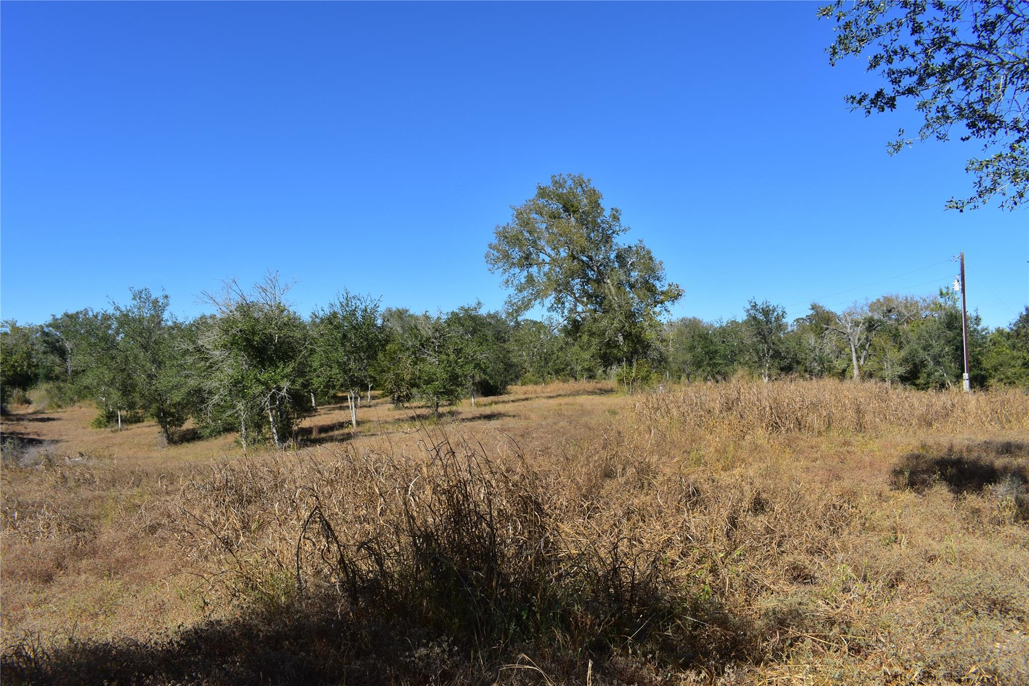 TBD Cr 481, Gonzales, TX 78629