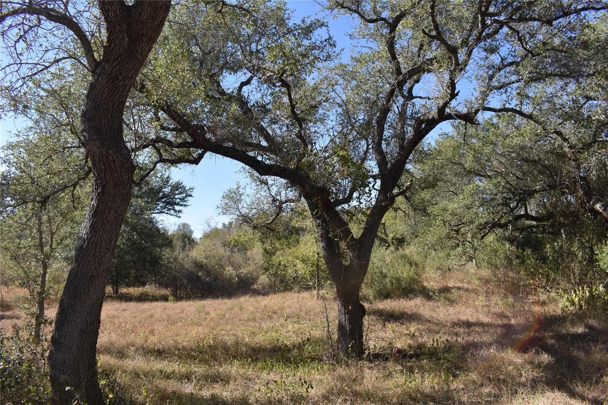 TBD Cr 481, Gonzales, TX 78629