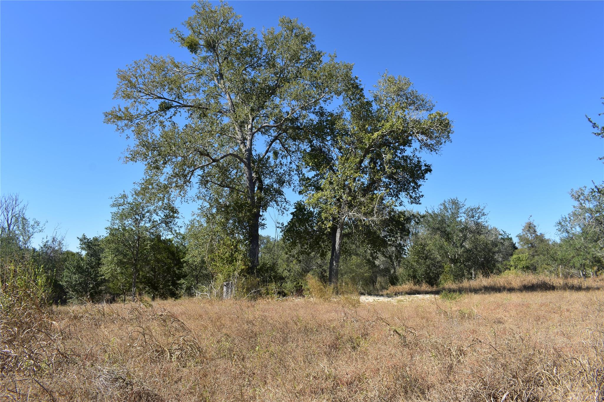 TBD Cr 481, Gonzales, TX 78629