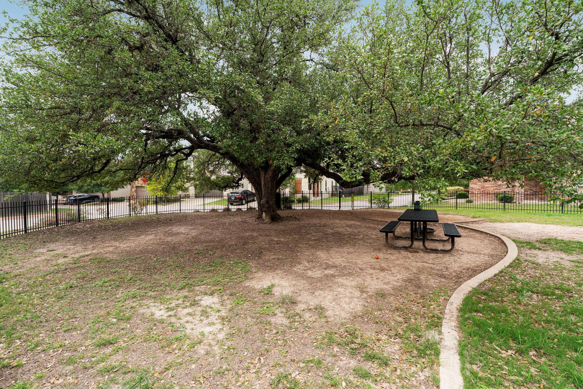 1011 Totis Rd, Austin, TX 78748