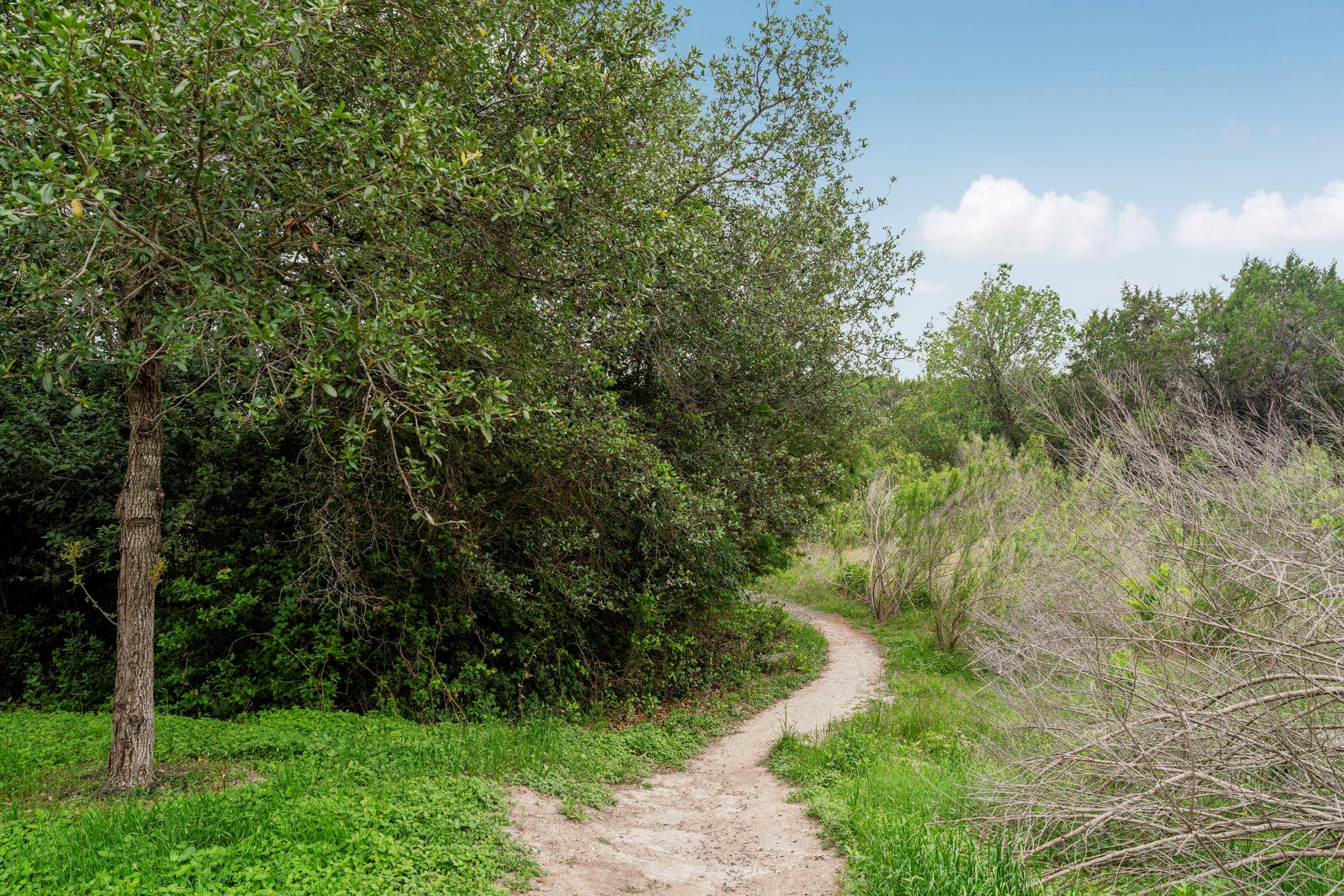 1011 Totis Rd, Austin, TX 78748