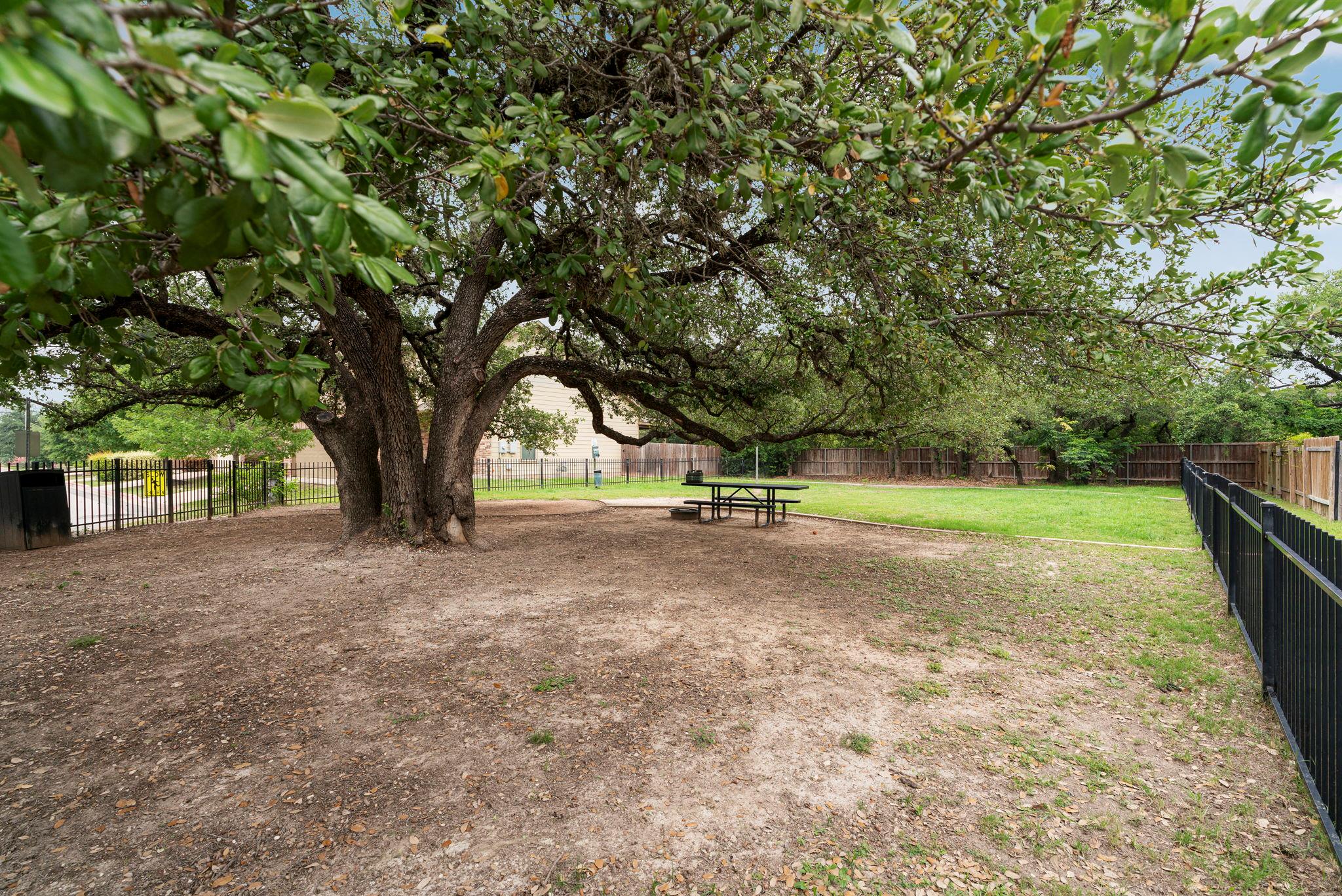 1011 Totis Rd, Austin, TX 78748