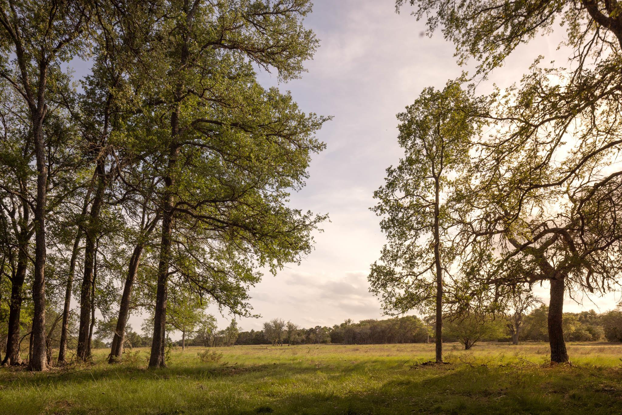 2609 Prochnow Rd, Dripping Springs, TX 78620