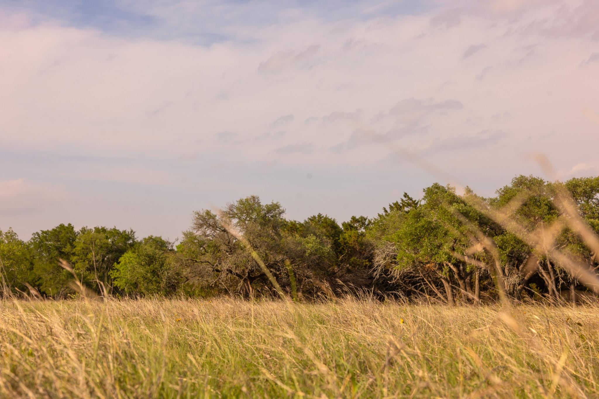 2609 Prochnow Rd, Dripping Springs, TX 78620