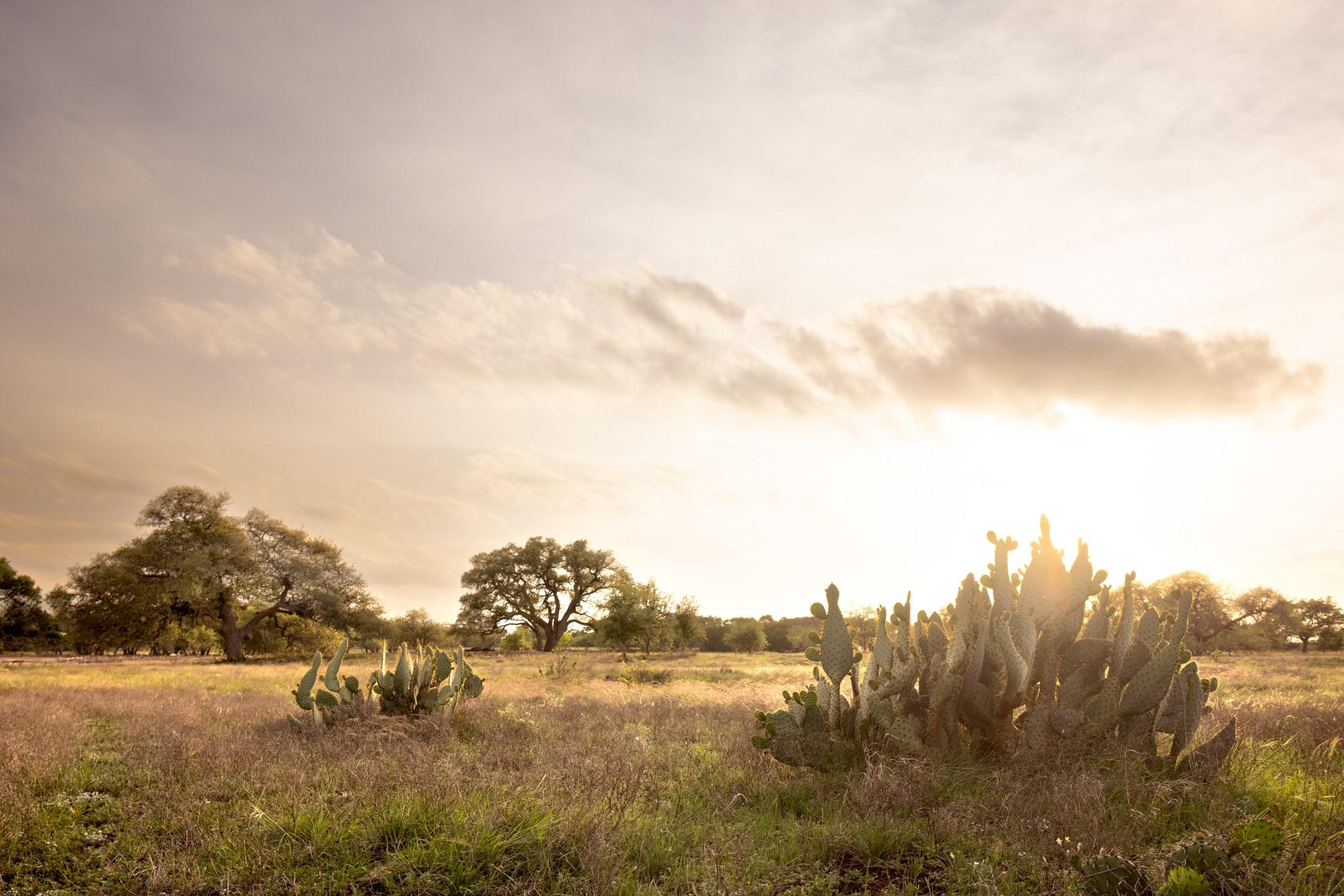 2609 Prochnow Rd, Dripping Springs, TX 78620