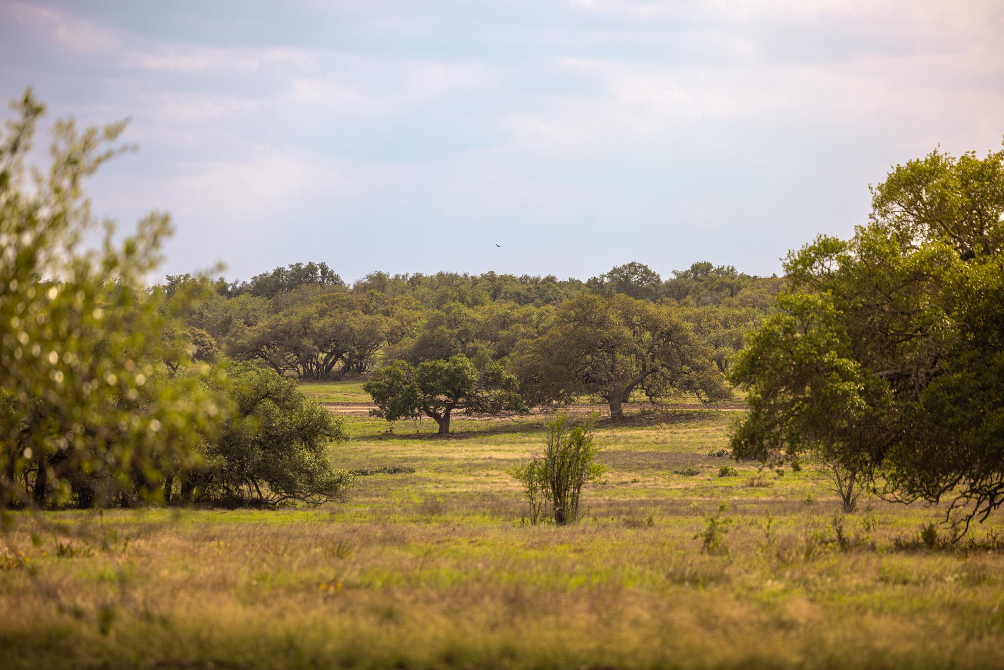 2609 Prochnow Rd, Dripping Springs, TX 78620