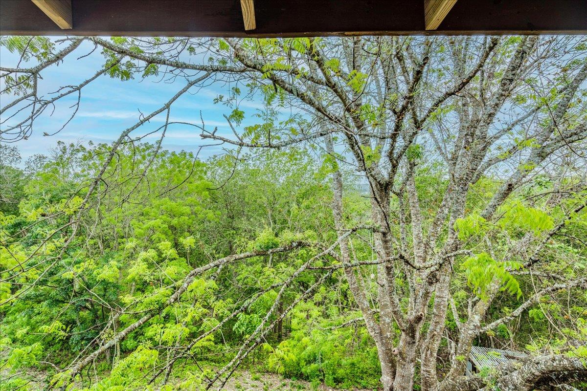 921 Peggys Cv, Kyle, TX 78640