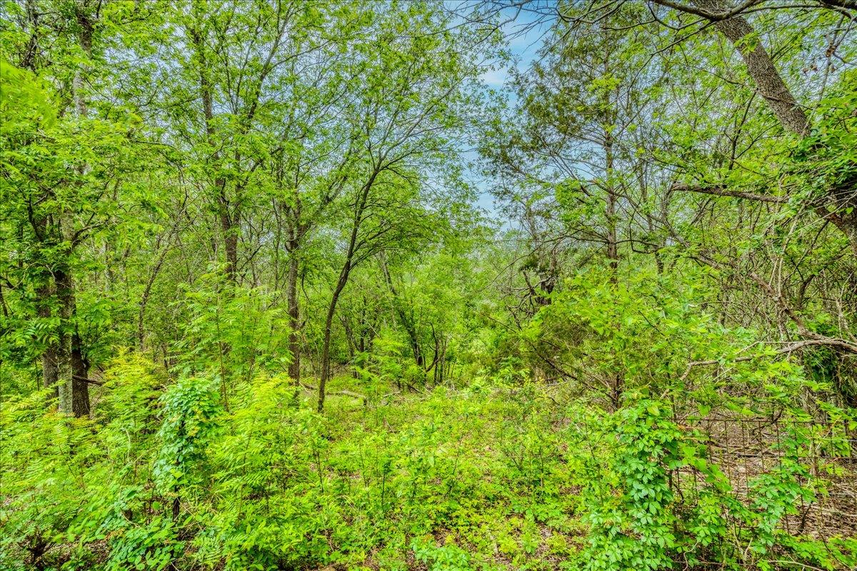 921 Peggys Cv, Kyle, TX 78640