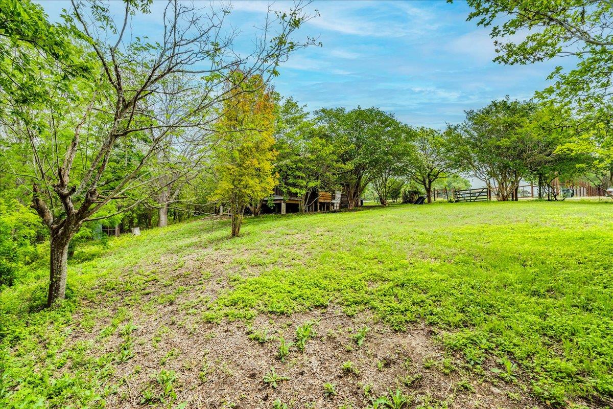 921 Peggys Cv, Kyle, TX 78640