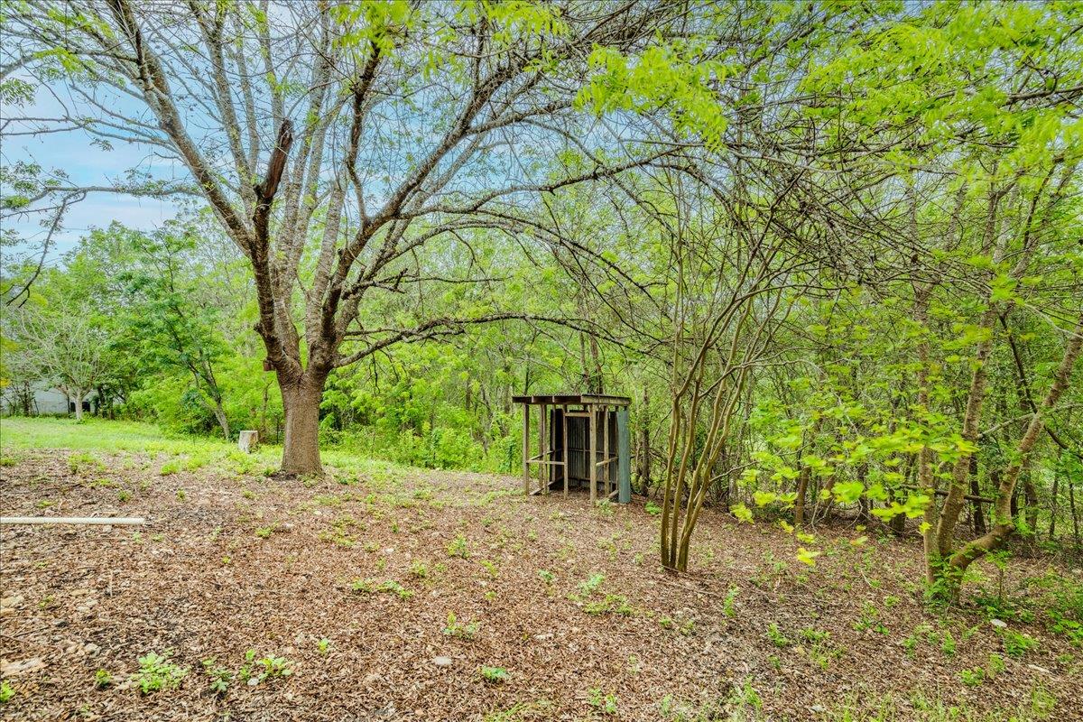 921 Peggys Cv, Kyle, TX 78640