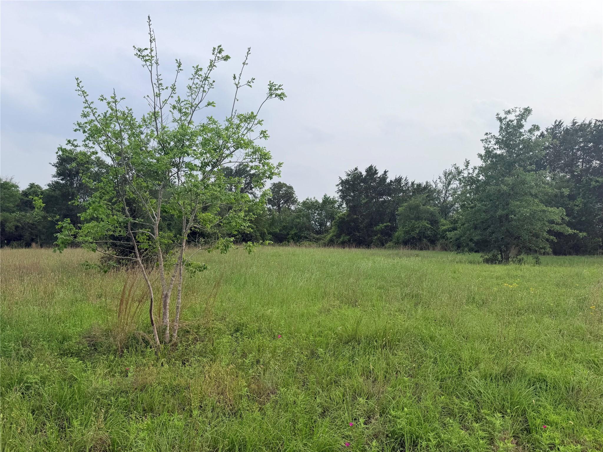 1766 Fm 2104, Paige, TX 78659