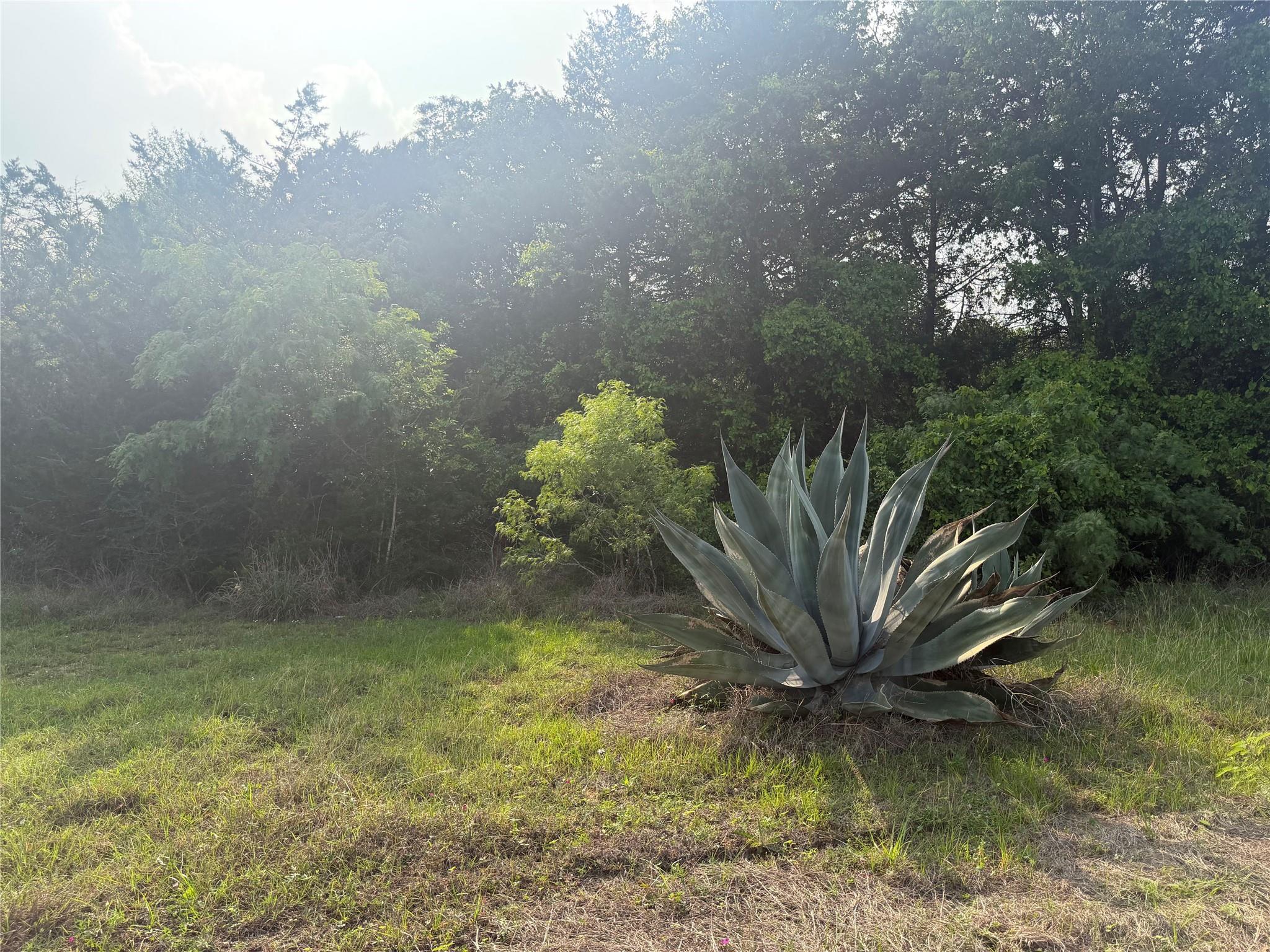 1766 Fm 2104, Paige, TX 78659