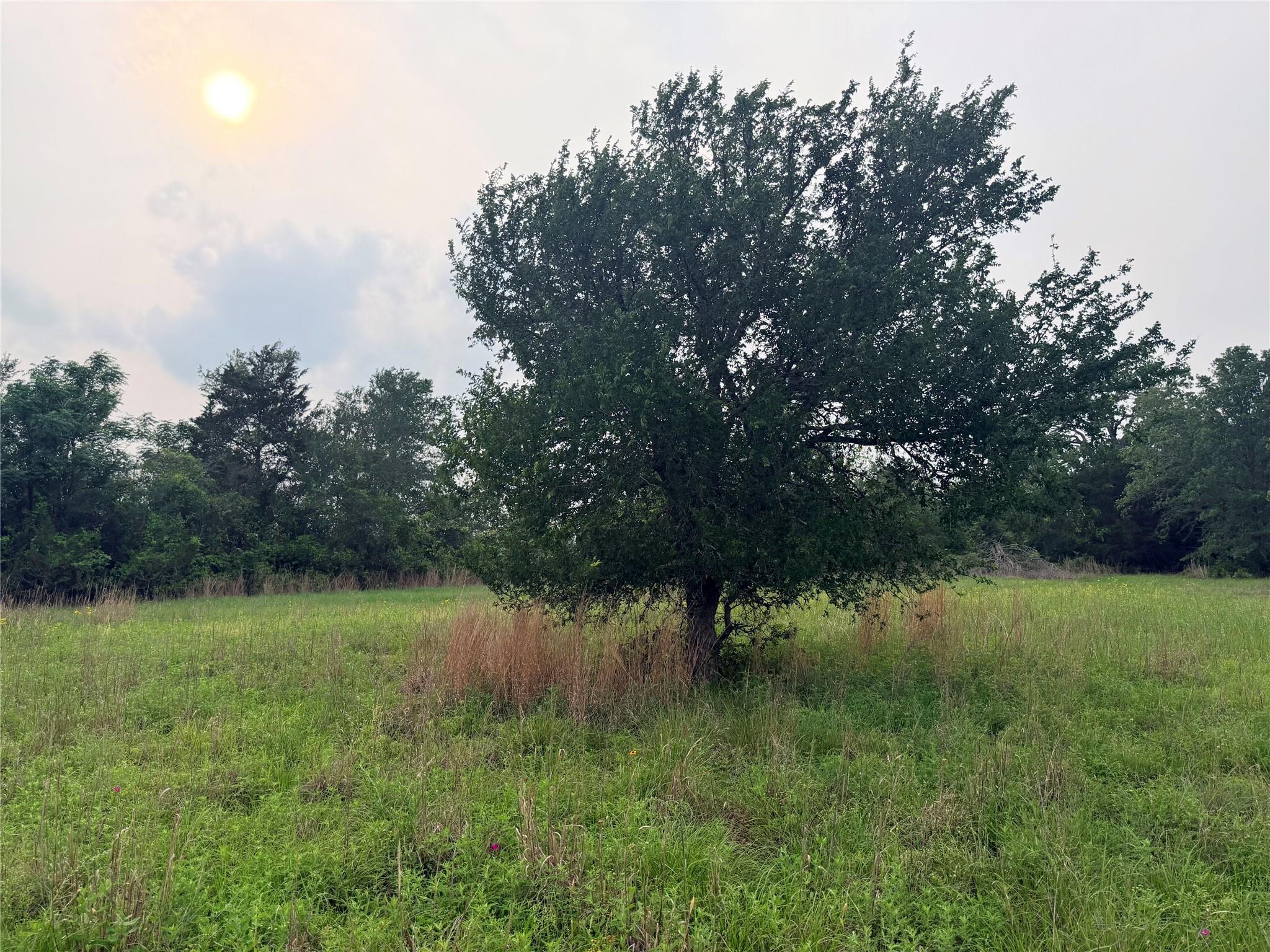 1766 Fm 2104, Paige, TX 78659