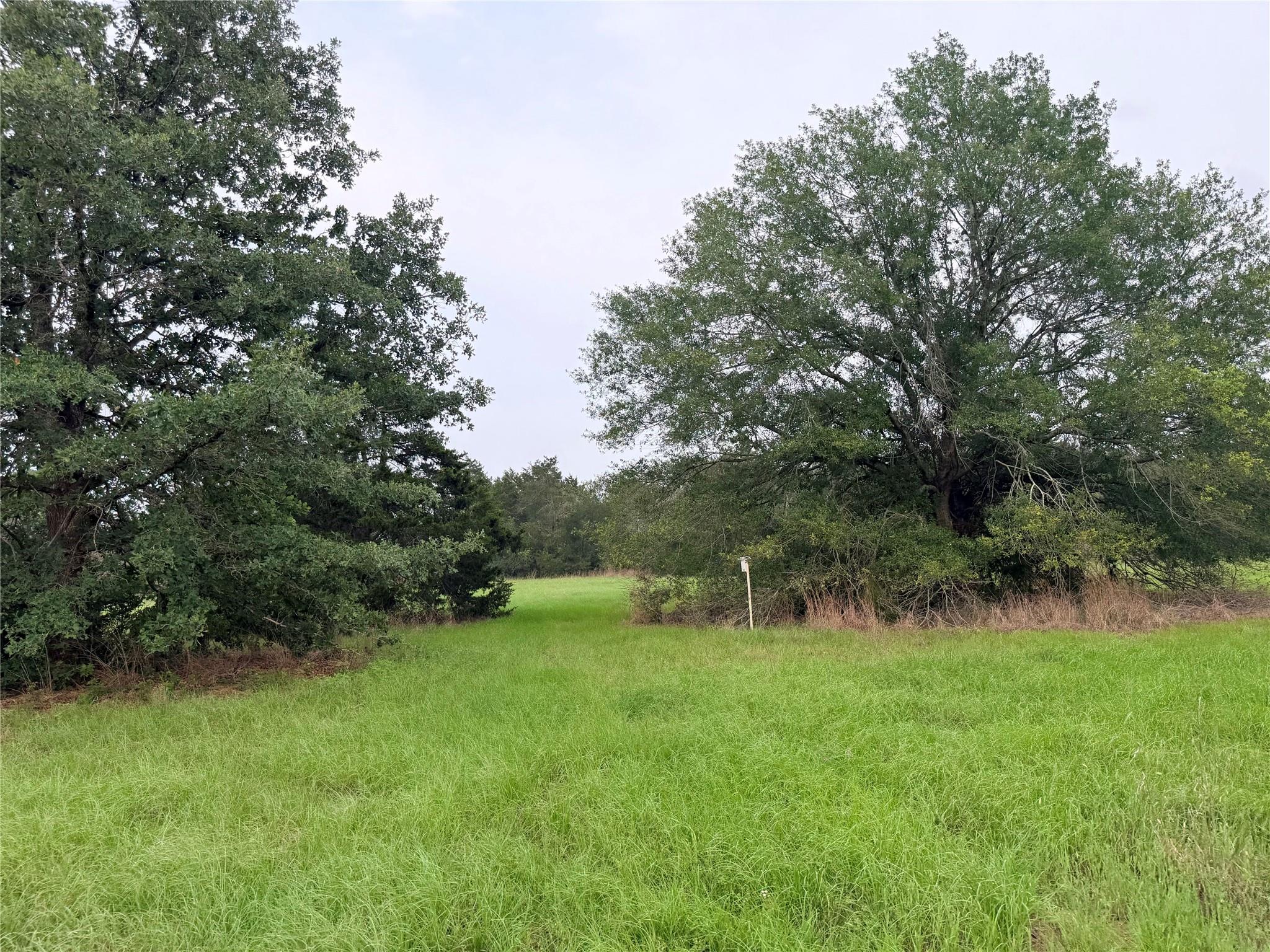 1766 Fm 2104, Paige, TX 78659