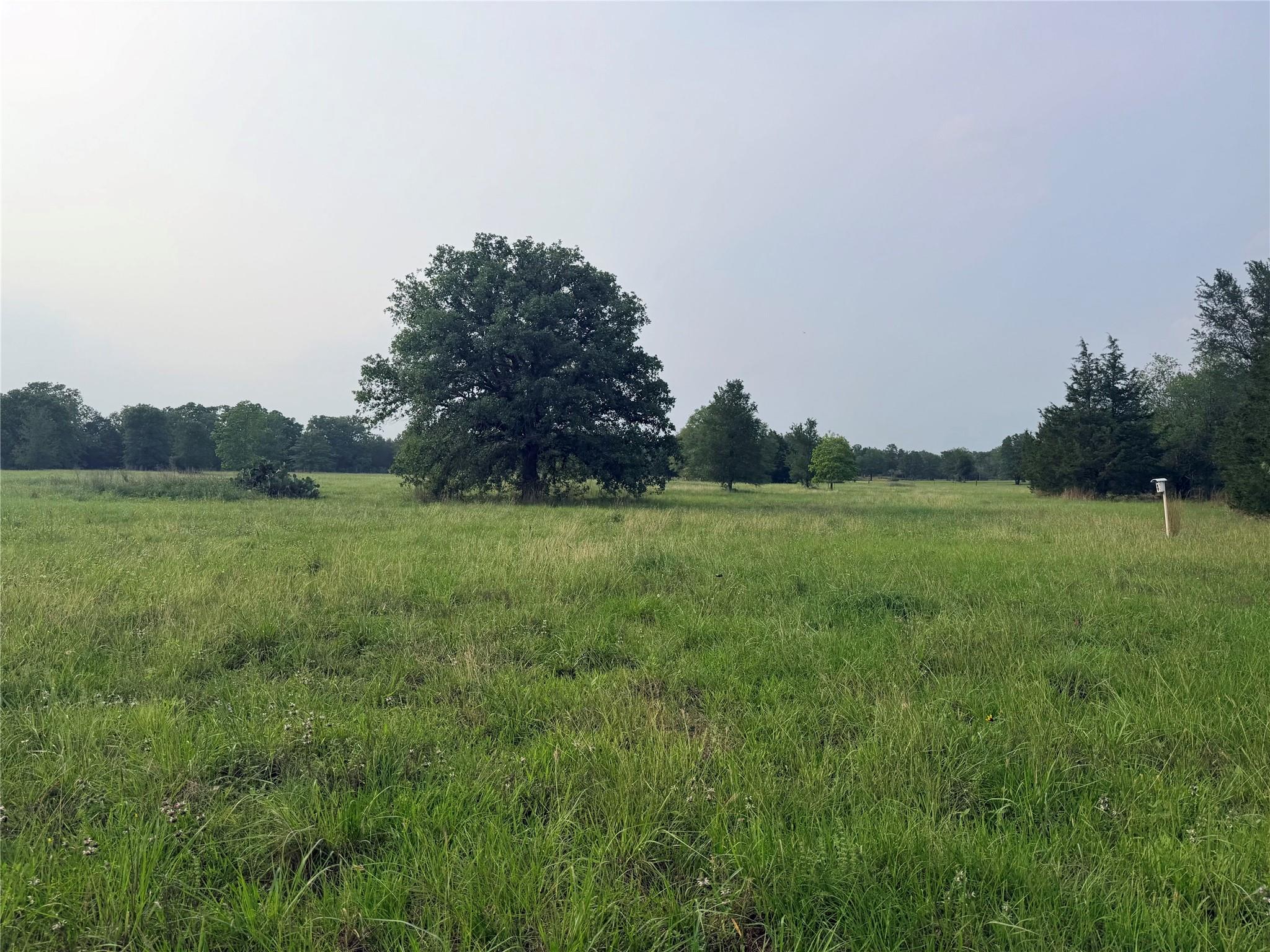 1766 Fm 2104, Paige, TX 78659